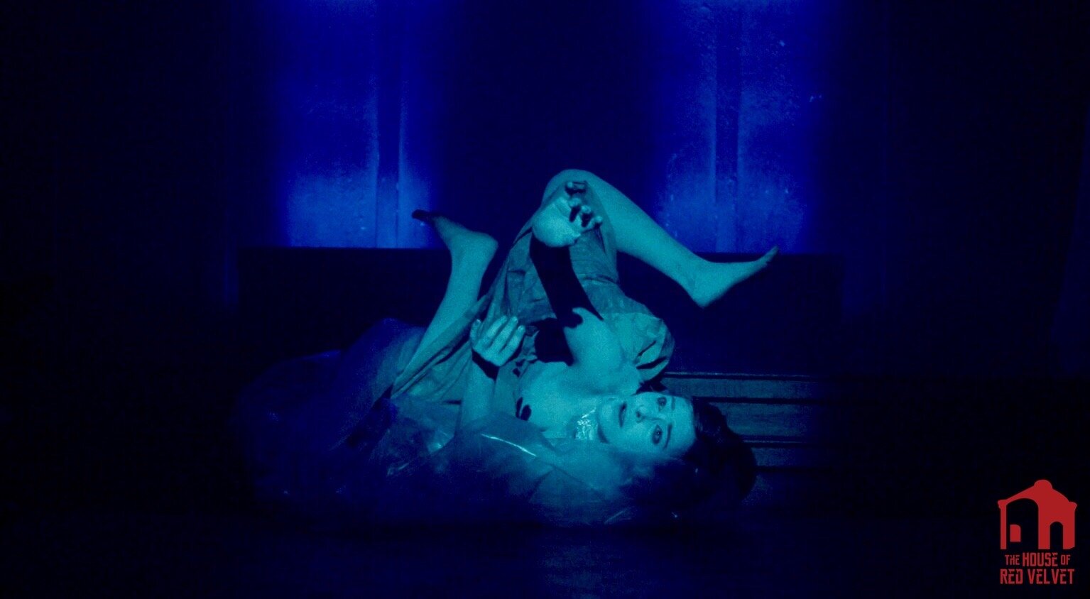 The House of Red Velvet. Performance artist in Los Angeles shows and the Berlin art scene.
