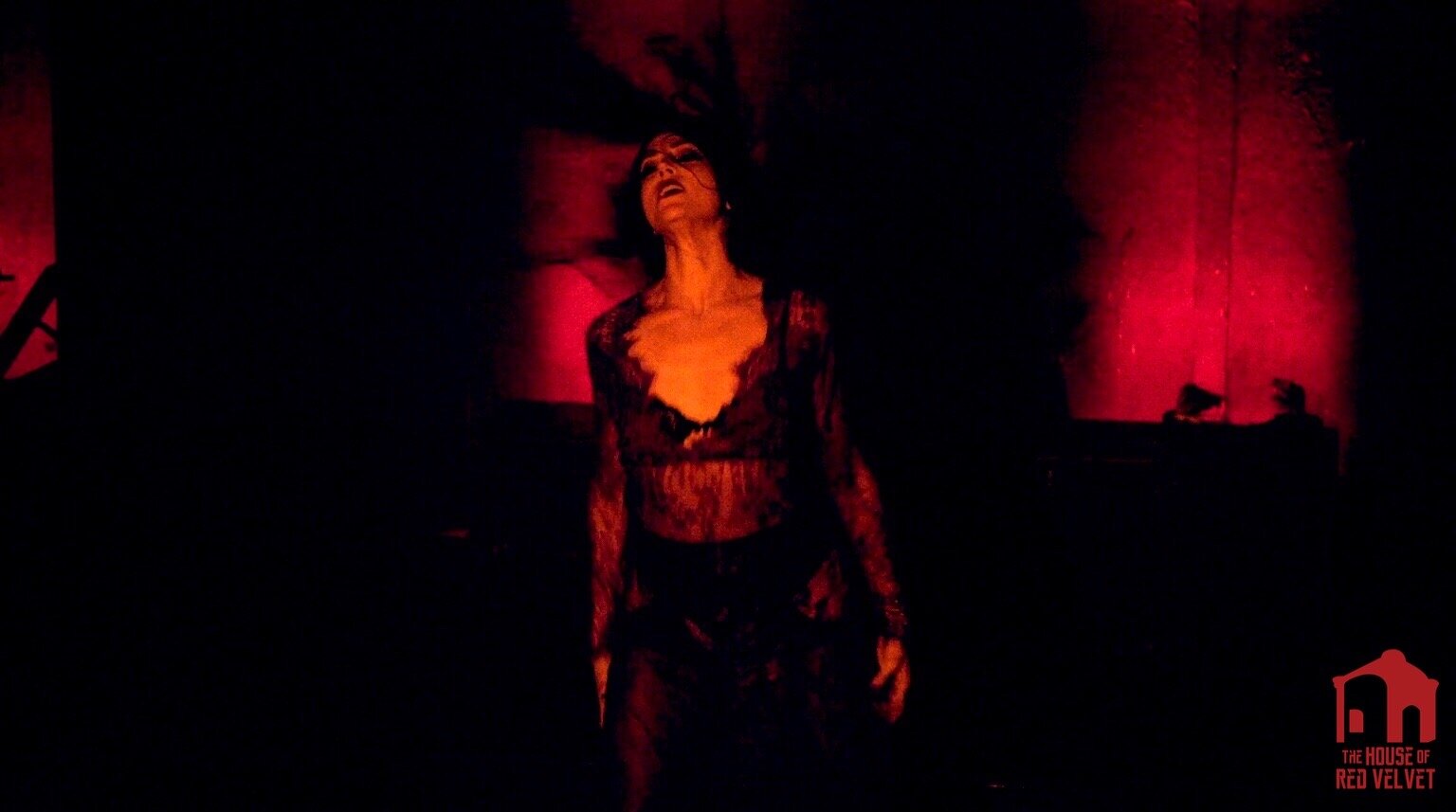 The House of Red Velvet The Attic performer dancer. 