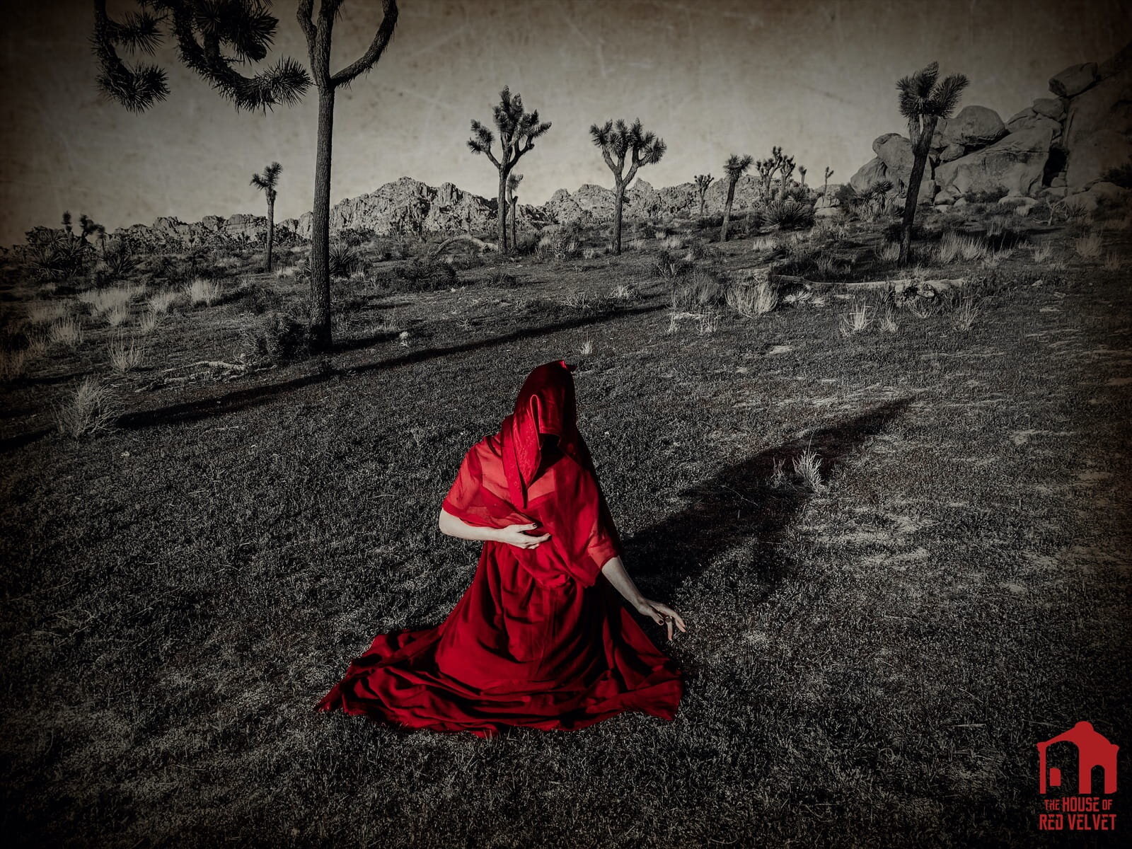 Beautiful dark art photography The House of Red Velvet Performing Arts
