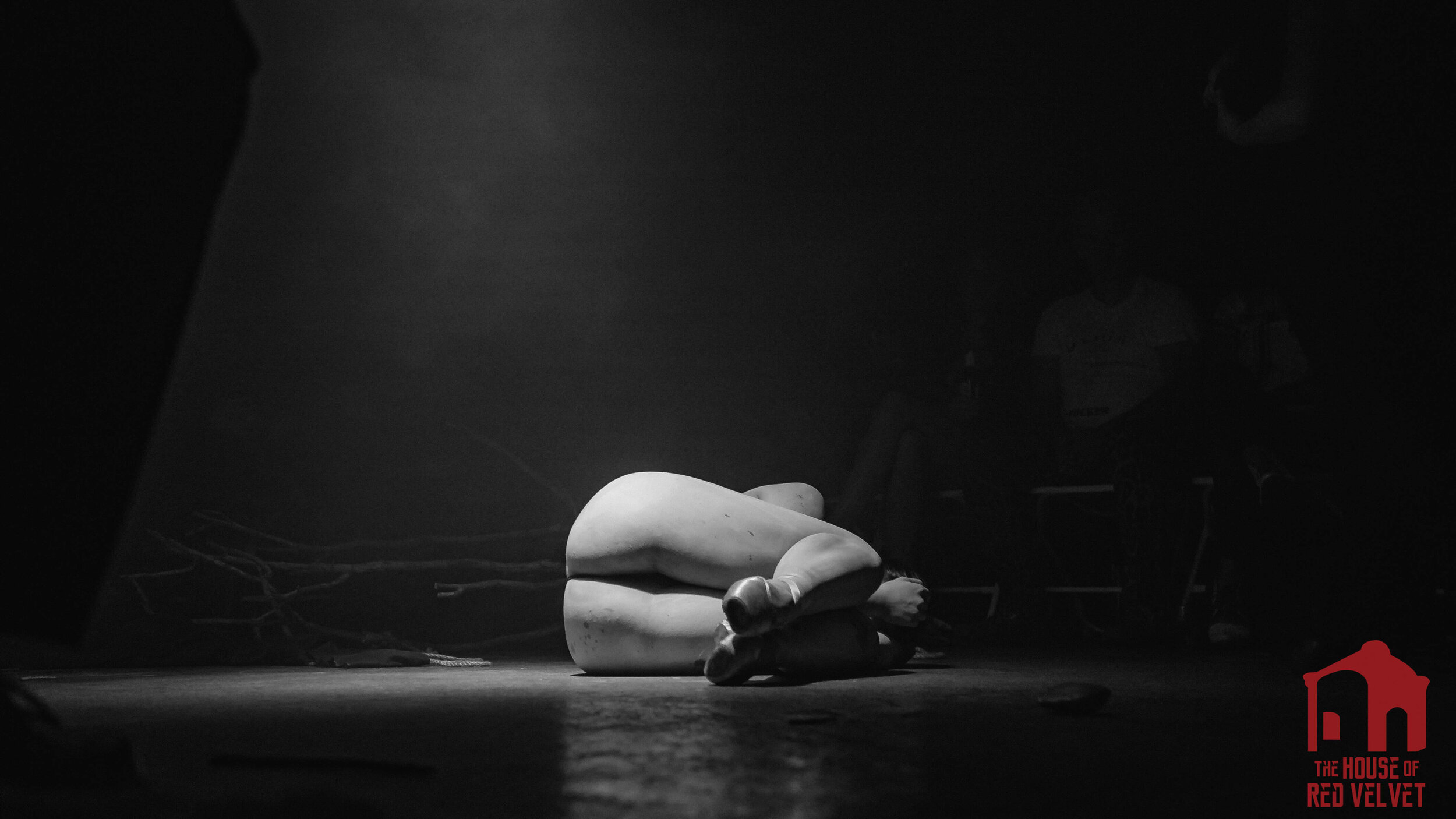The House of Red Velvet. The surrealistic ballet dancer.