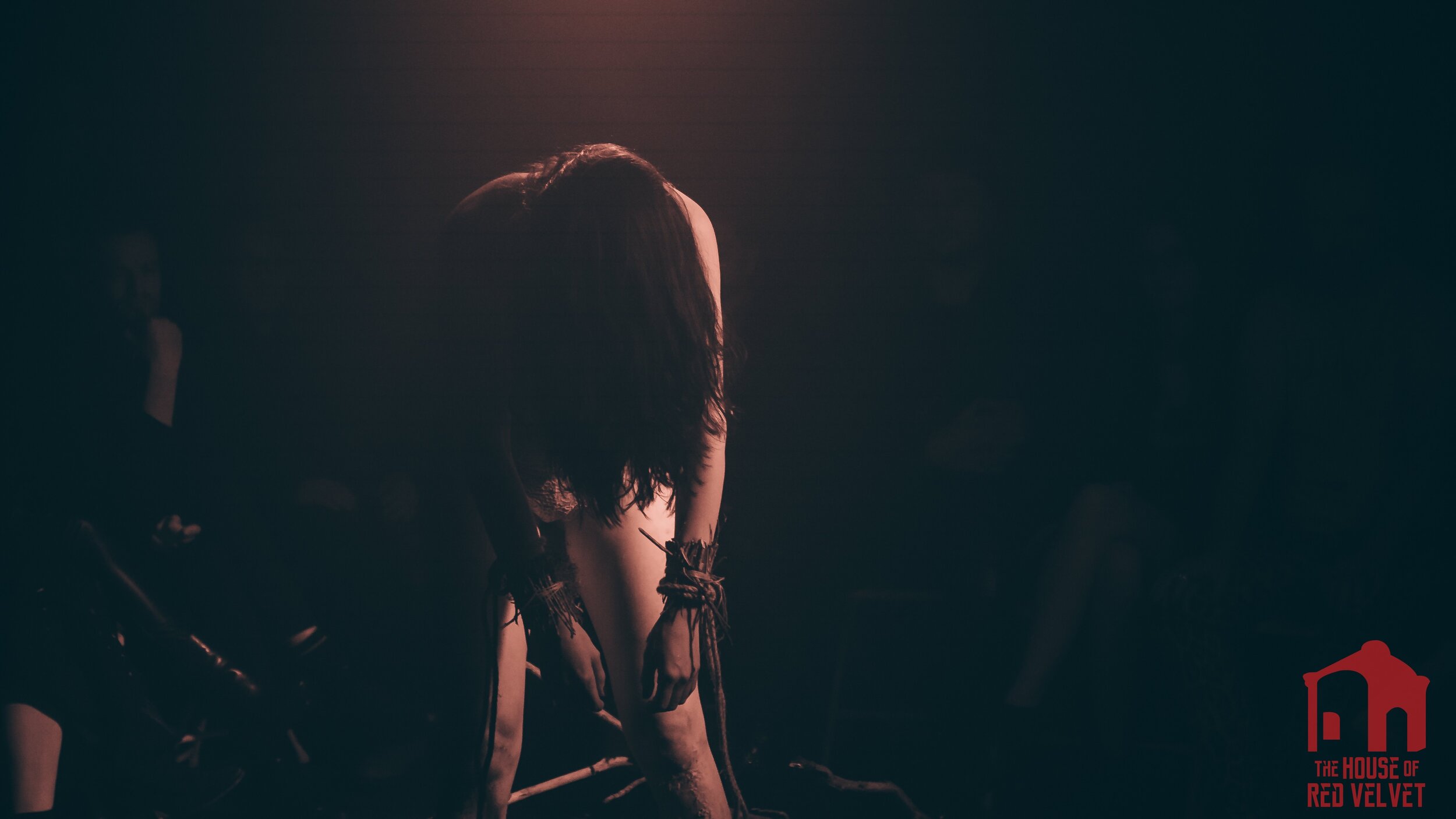 The House of Red Velvet. Experimental Brand. From the Dark Winter. 