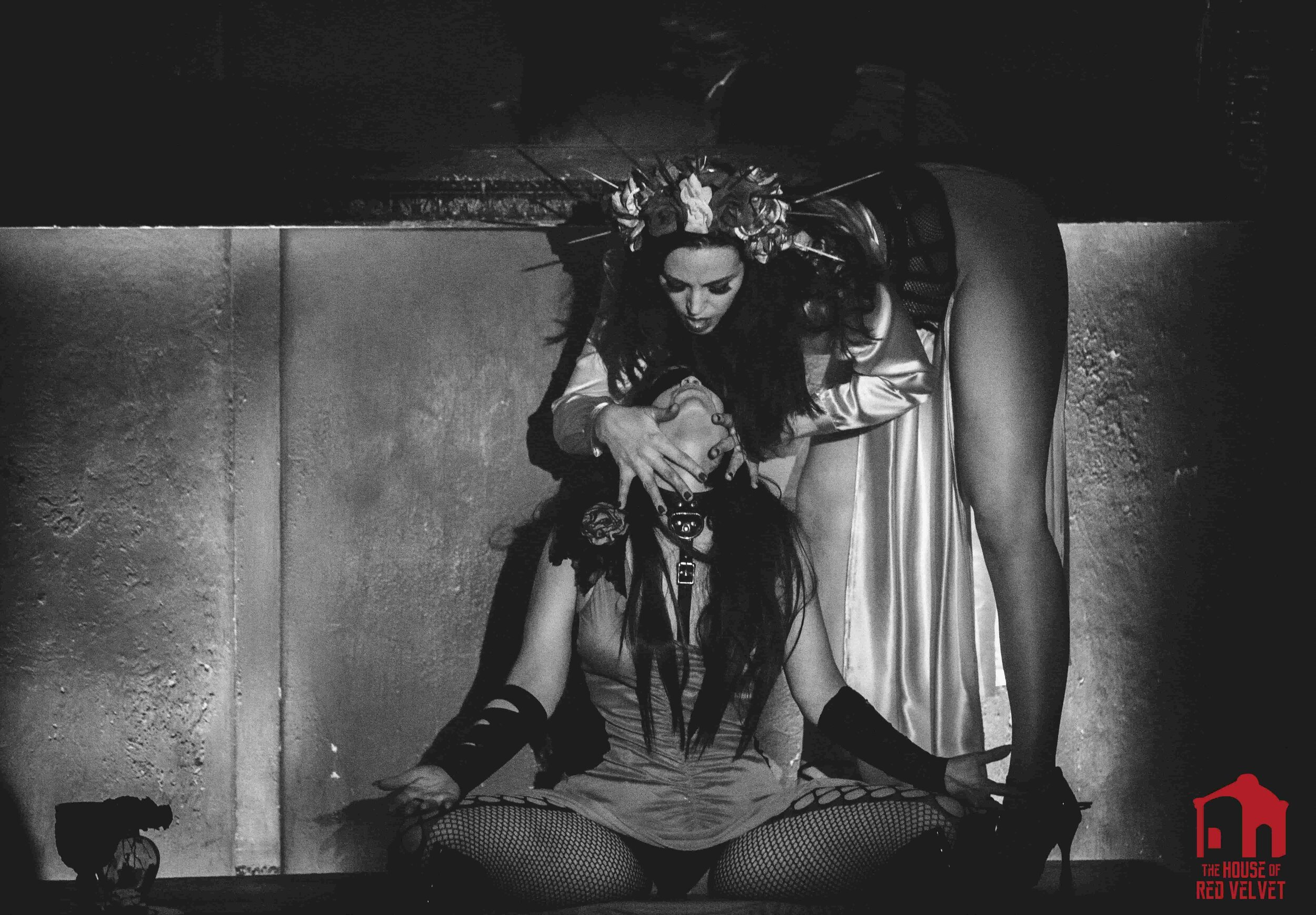 The House of Red Velvet. Surrealism events. Erotica in black and white art. 