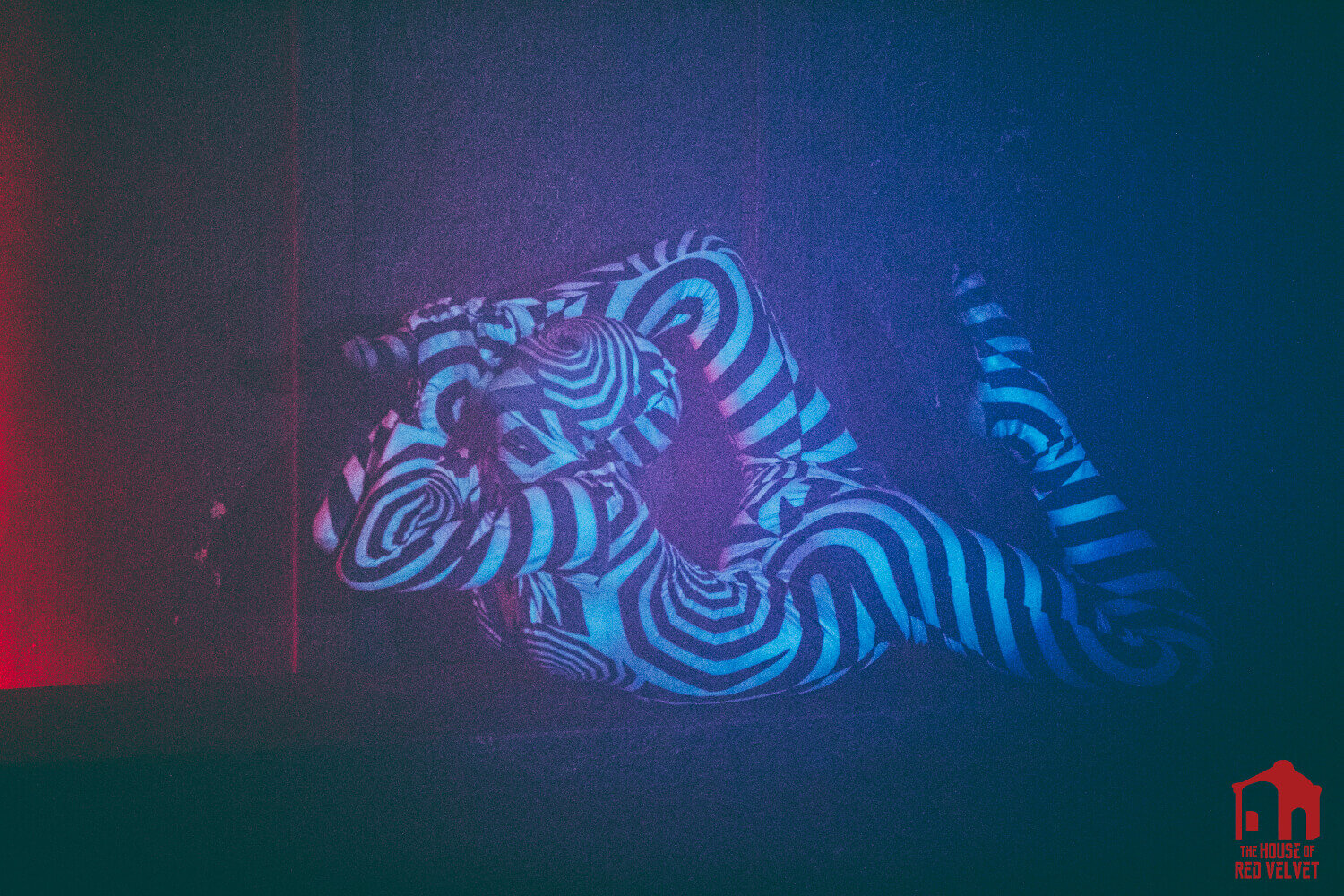 The House of Red Velvet Contortion. Lena Fumi. 