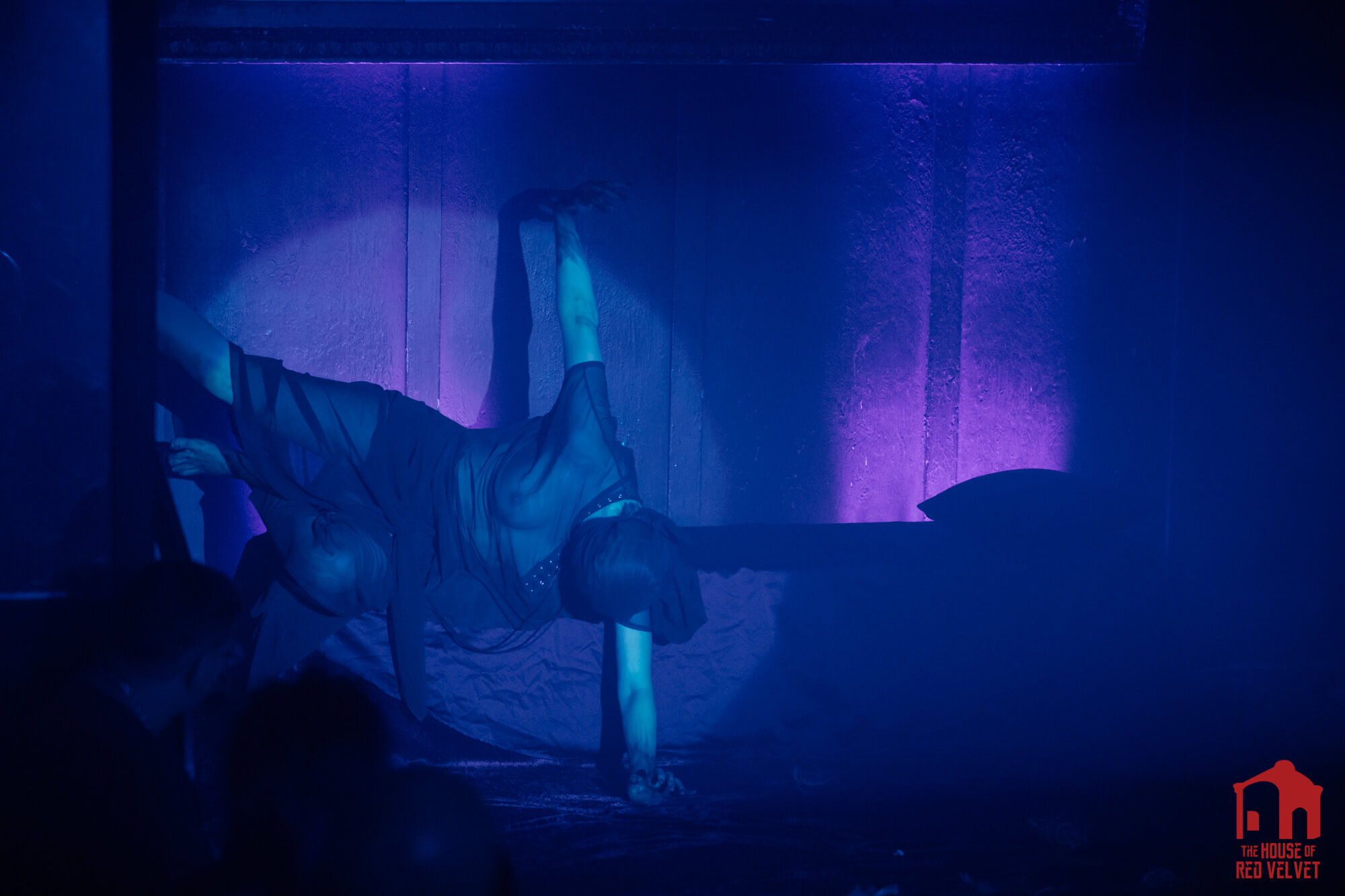  The House of Red Velvet is euphoric dark art, and surrealist performance theater. We are an avant-garde movement in experimental immersive experiences.  