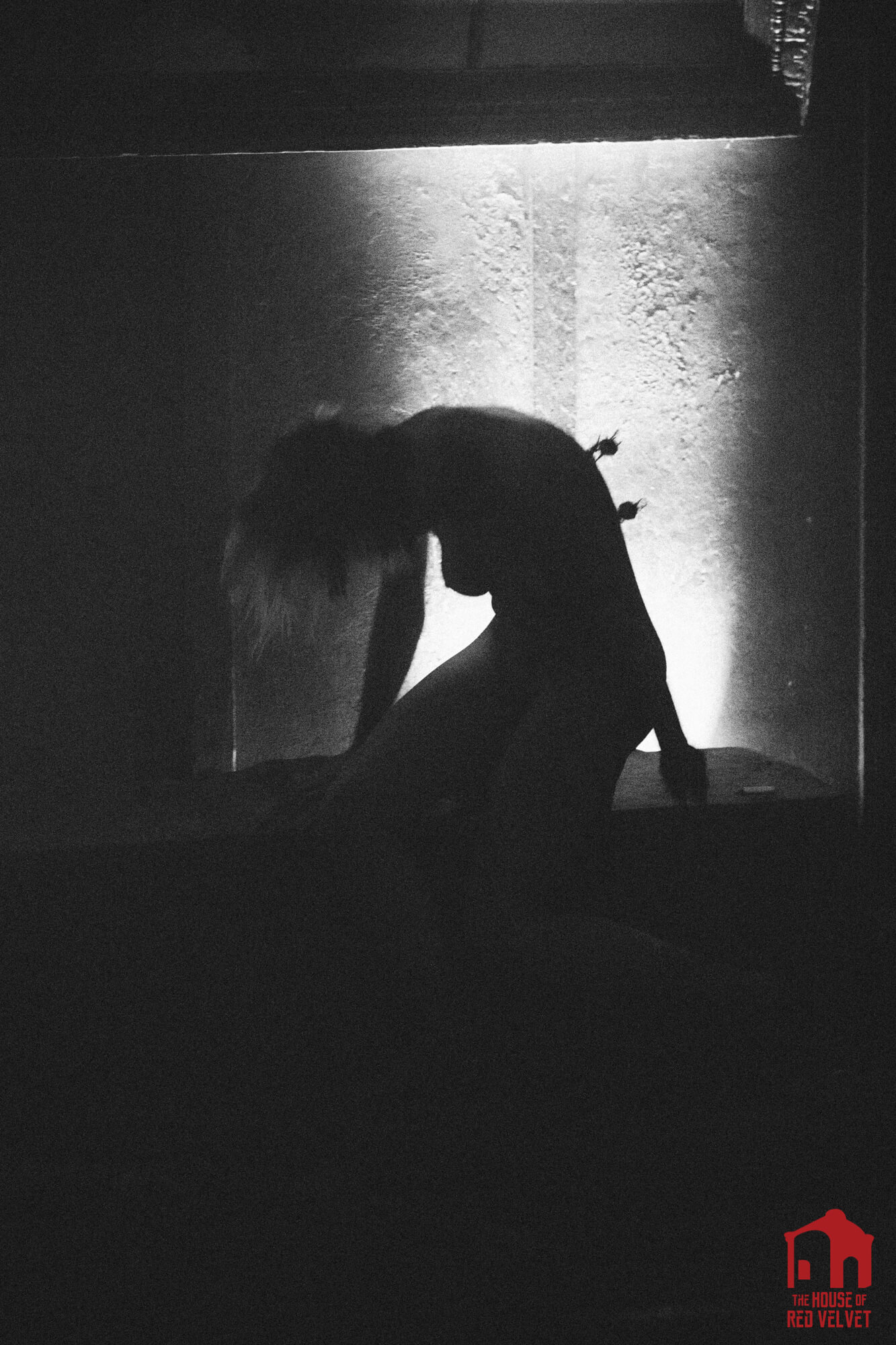 The House of Red Velvet Dark Art Photography.