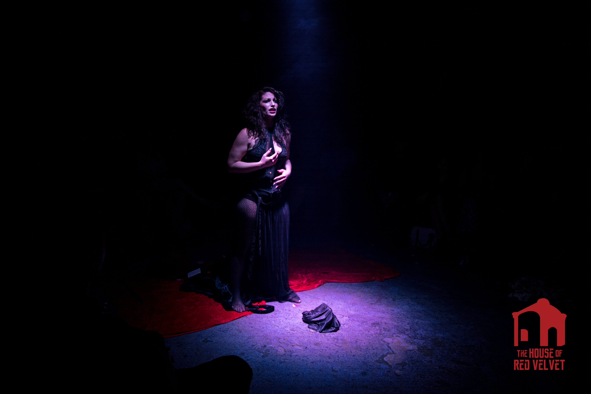 The House of Red Velvet Operatic Singer. Theater of the Mind.