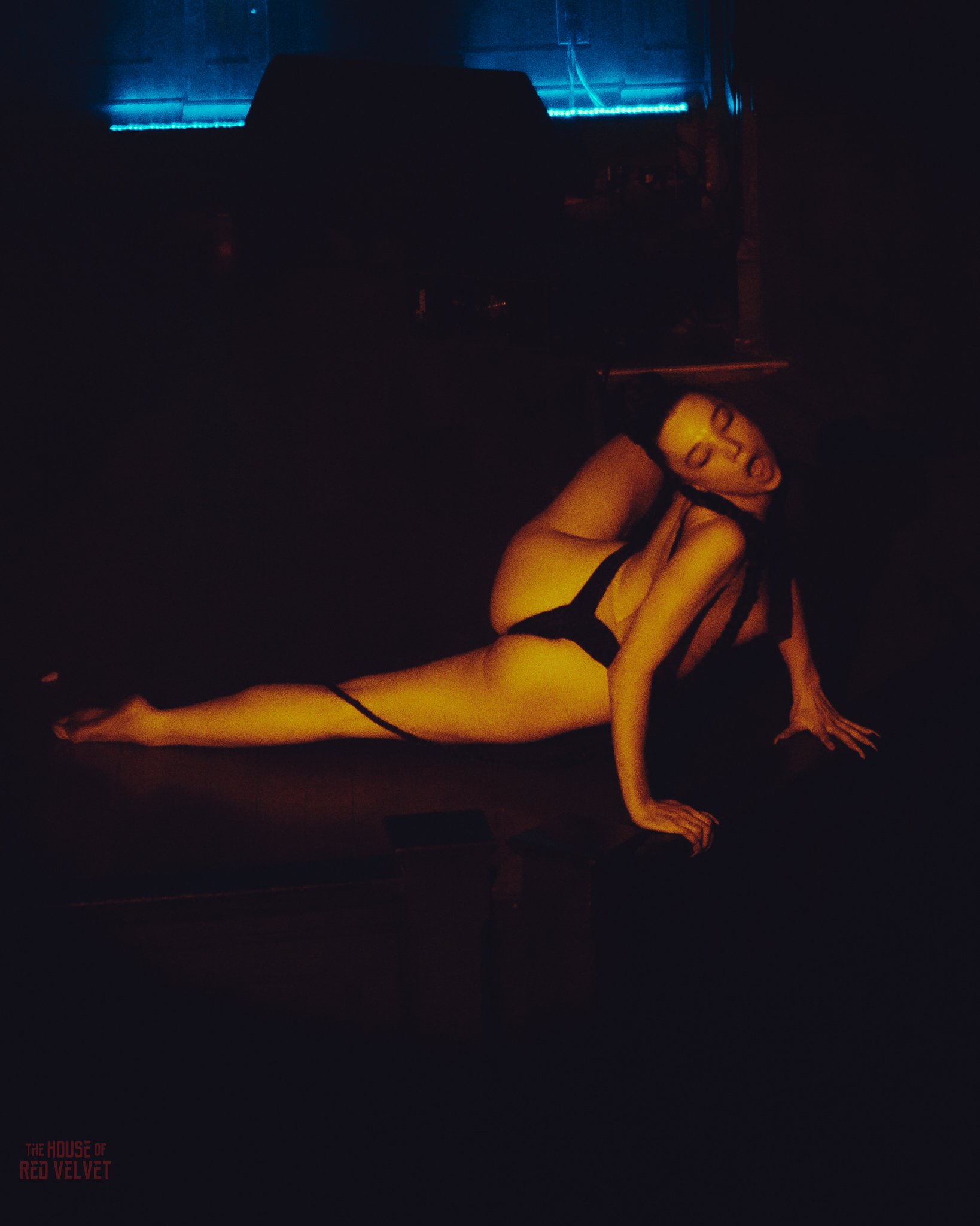 cailyn-house-of-red-velvet-performance-art-theater-surrealismA8670.jpg