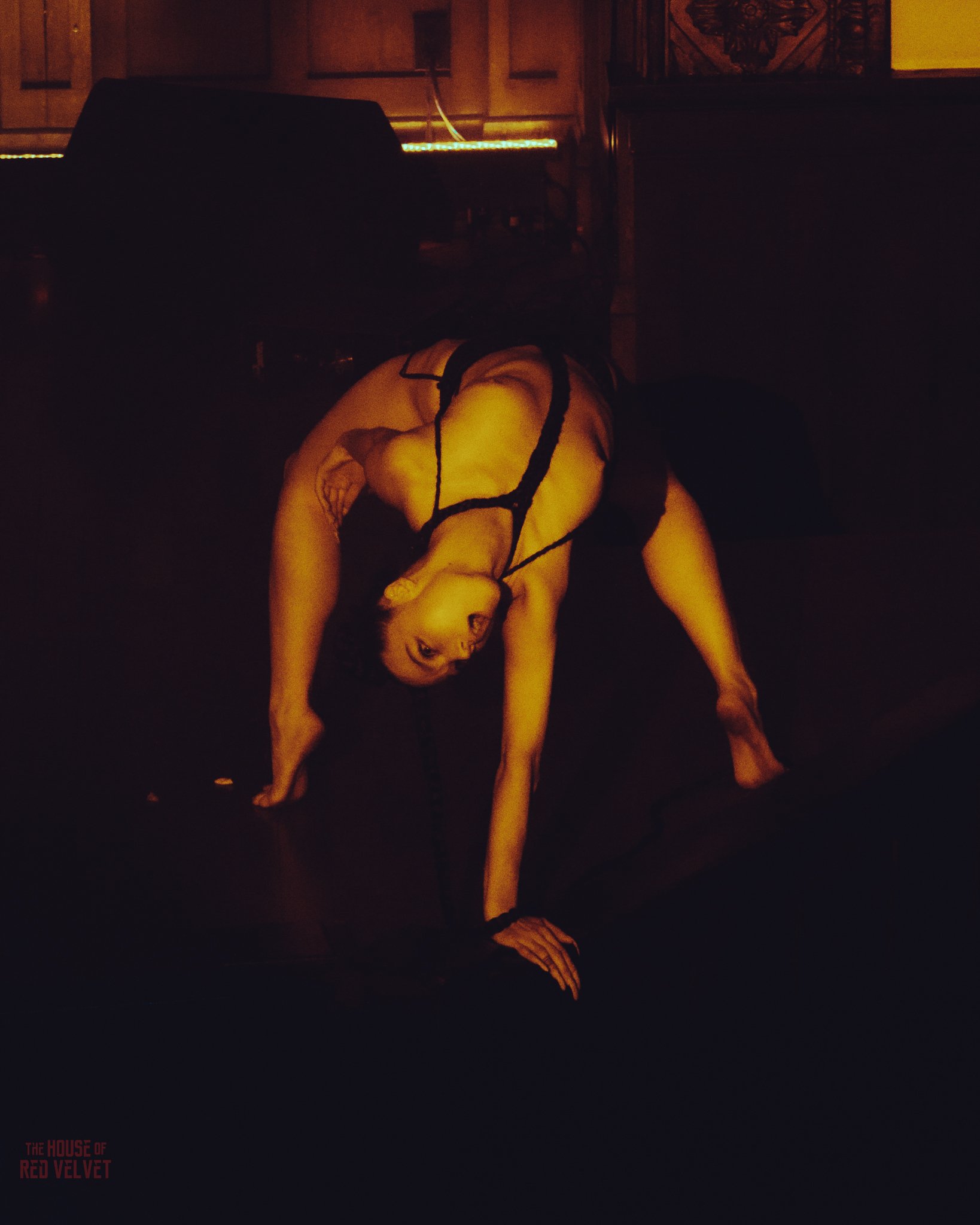 cailyn-house-of-red-velvet-performance-art-theater-surrealismA8674.jpg
