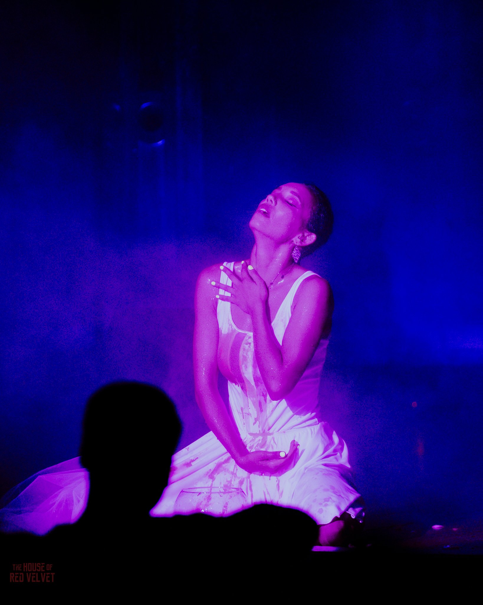 frankie-house-of-red-velvet-performance-art-theater-surrealismA8644.jpg
