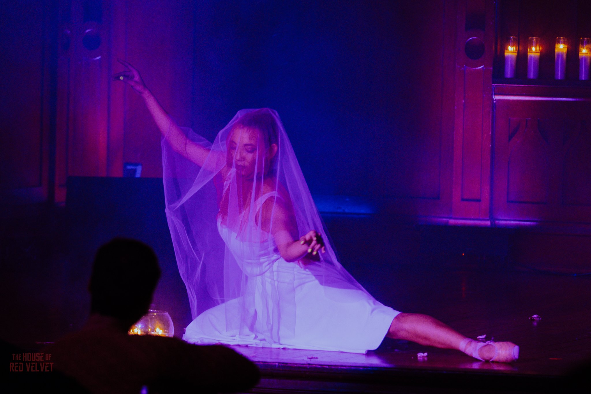 frankie-house-of-red-velvet-performance-art-theater-surrealismA8544.jpg