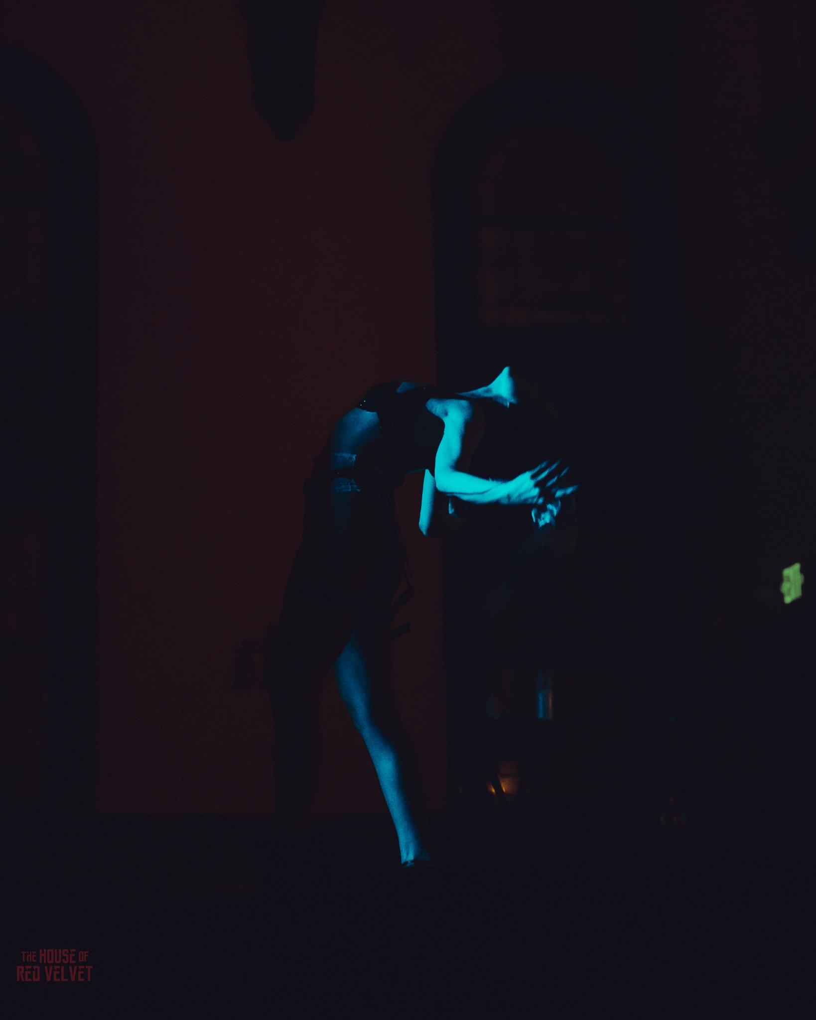 olivia-house-of-red-velvet-performance-art-theater-surrealismA8389.jpg