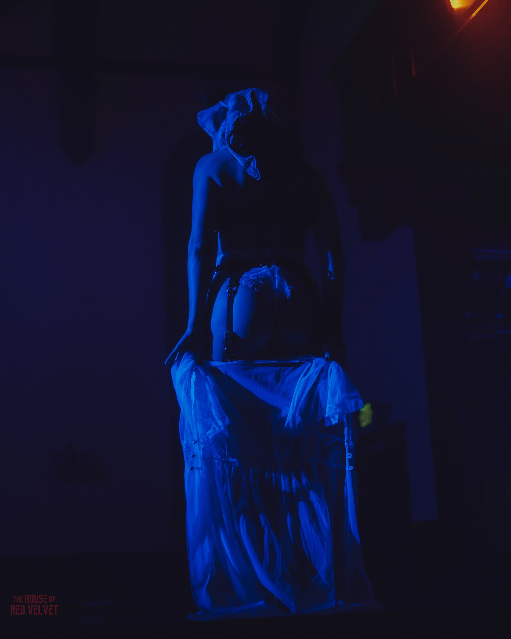 olivia-house-of-red-velvet-performance-art-theater-surrealismA8365.jpg