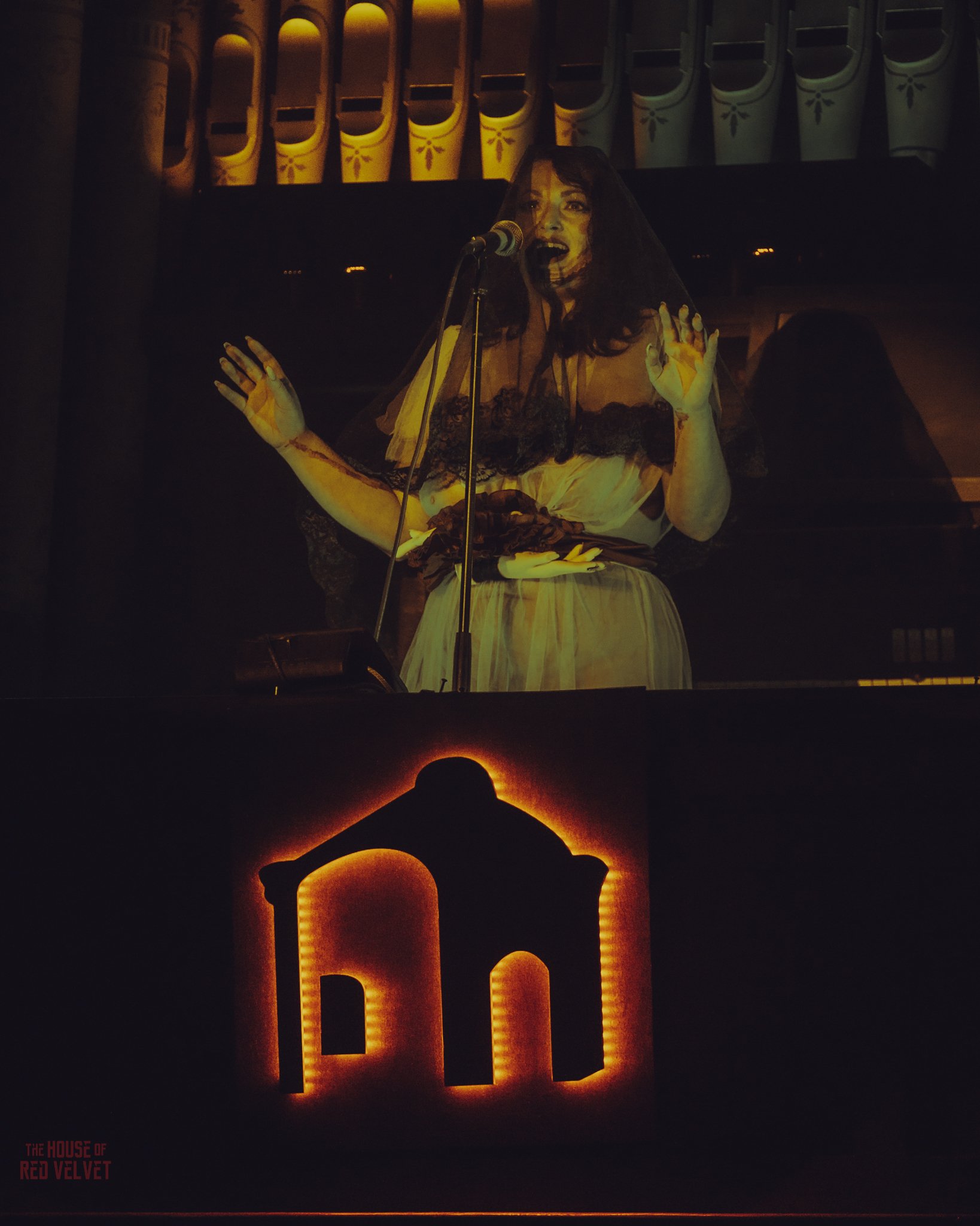 surka-house-of-red-velvet-performance-art-theater-surrealismA8513.jpg