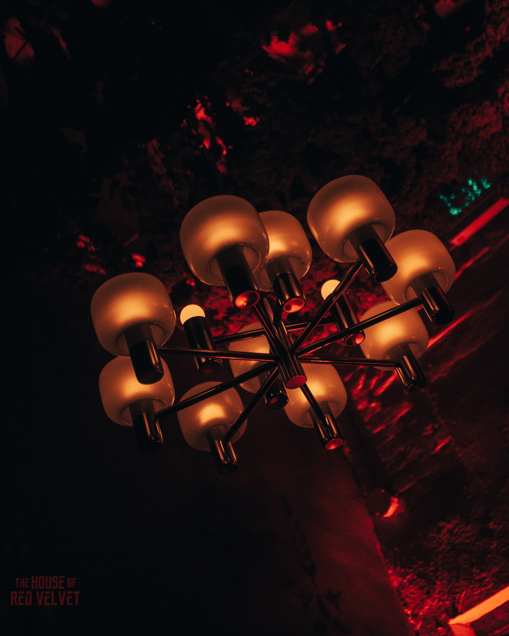 house-of-red-velvet-performance-art-theater-surrealism-salonA9324.jpg