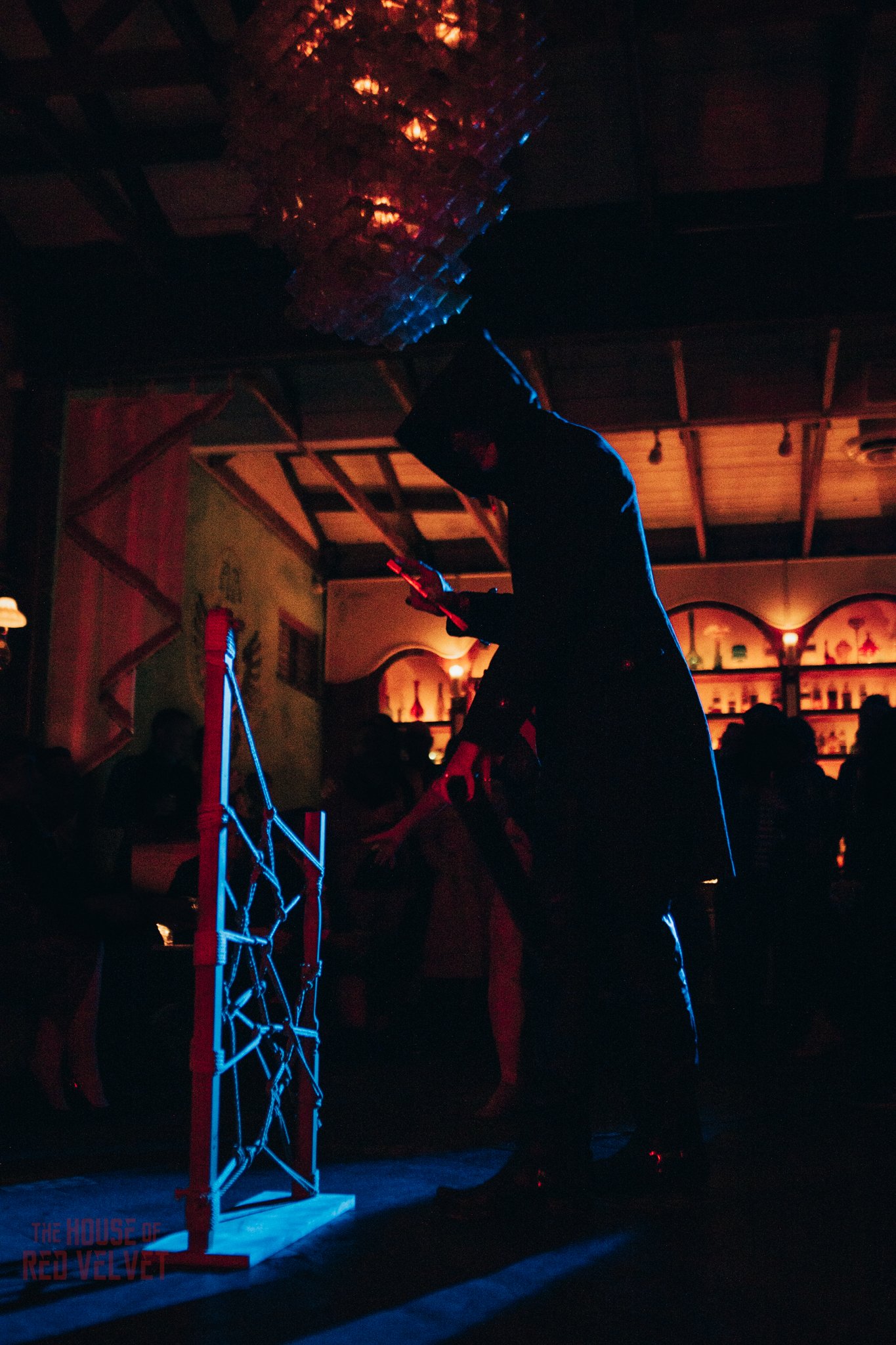house-of-red-velvet-performance-art-theater-surrealism-salonA9399.jpg