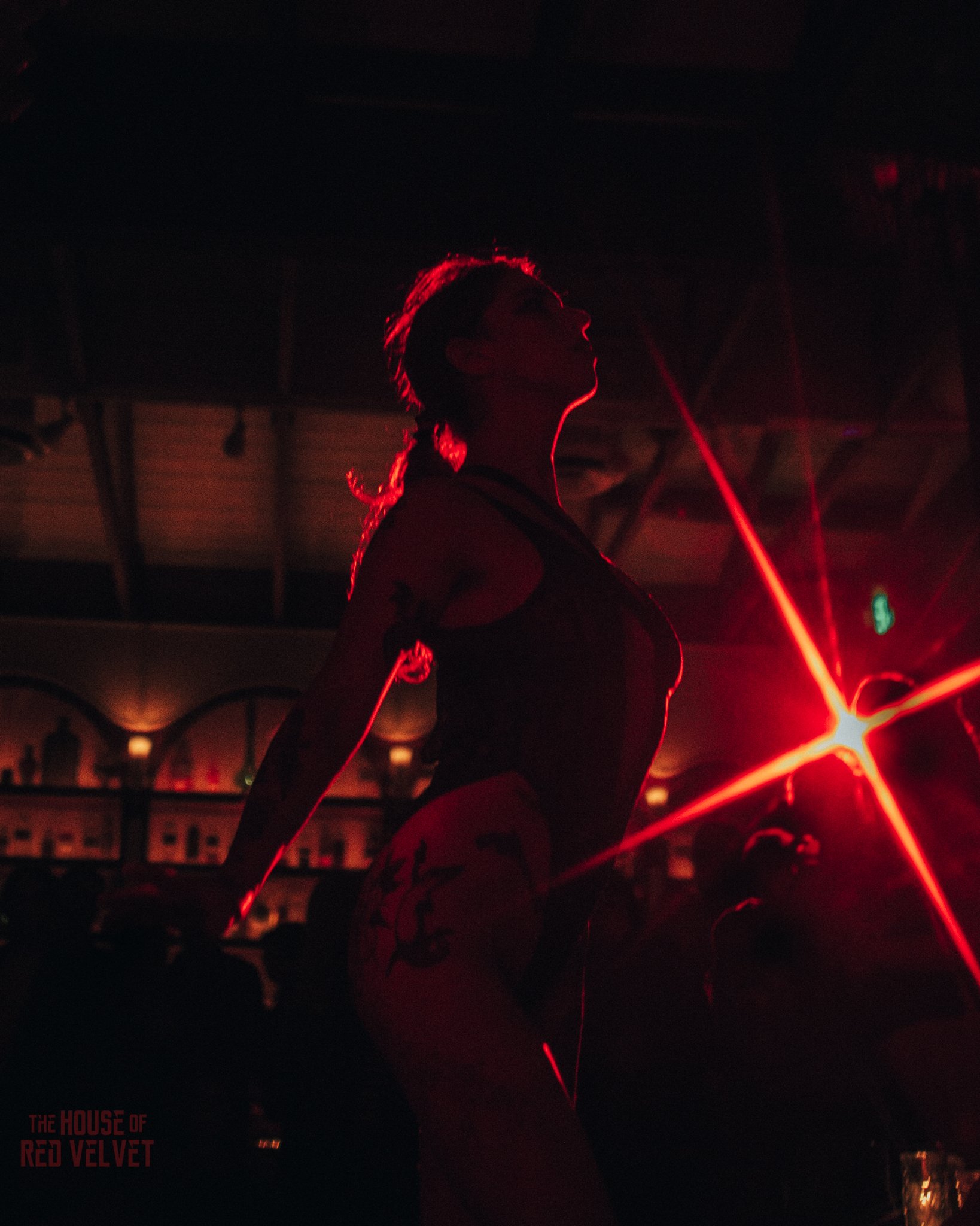 house-of-red-velvet-performance-art-theater-surrealism-salonA9392.jpg
