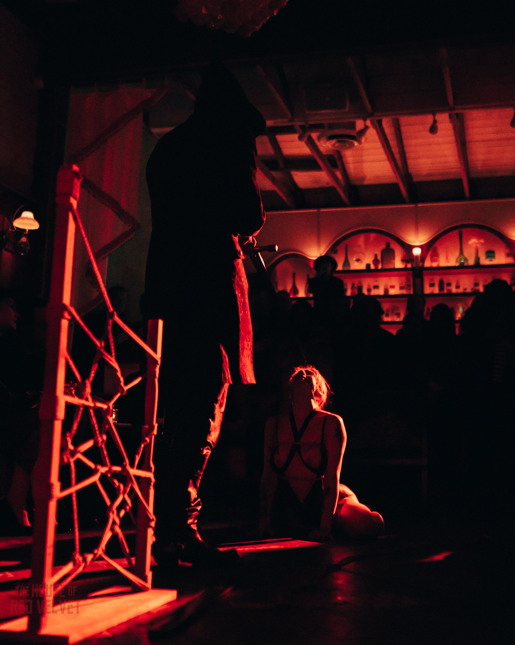 house-of-red-velvet-performance-art-theater-surrealism-salonA9433.jpg