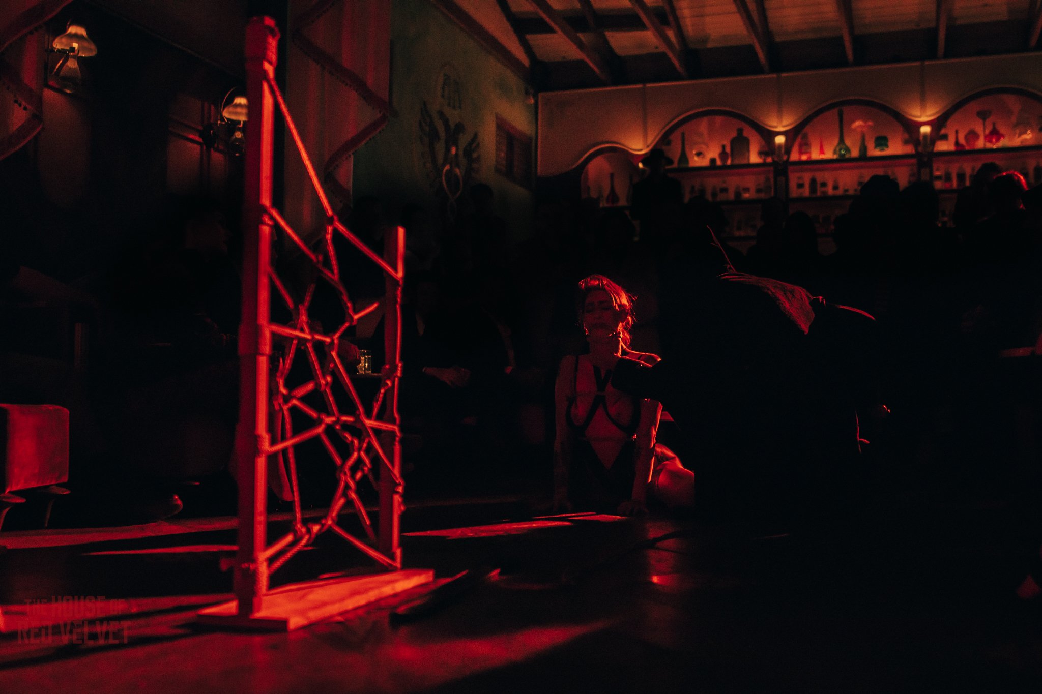 house-of-red-velvet-performance-art-theater-surrealism-salonA9438.jpg