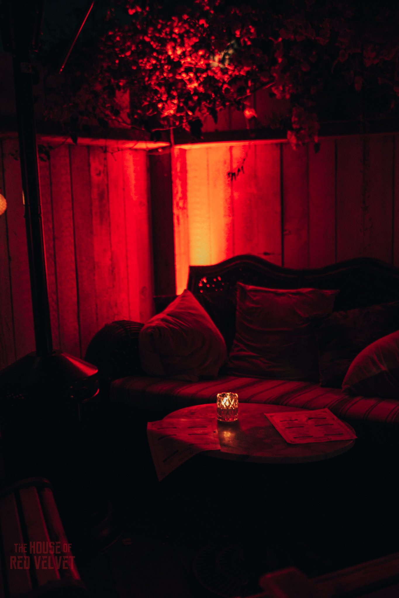 house-of-red-velvet-performance-art-theater-surrealism-salonA9545.jpg