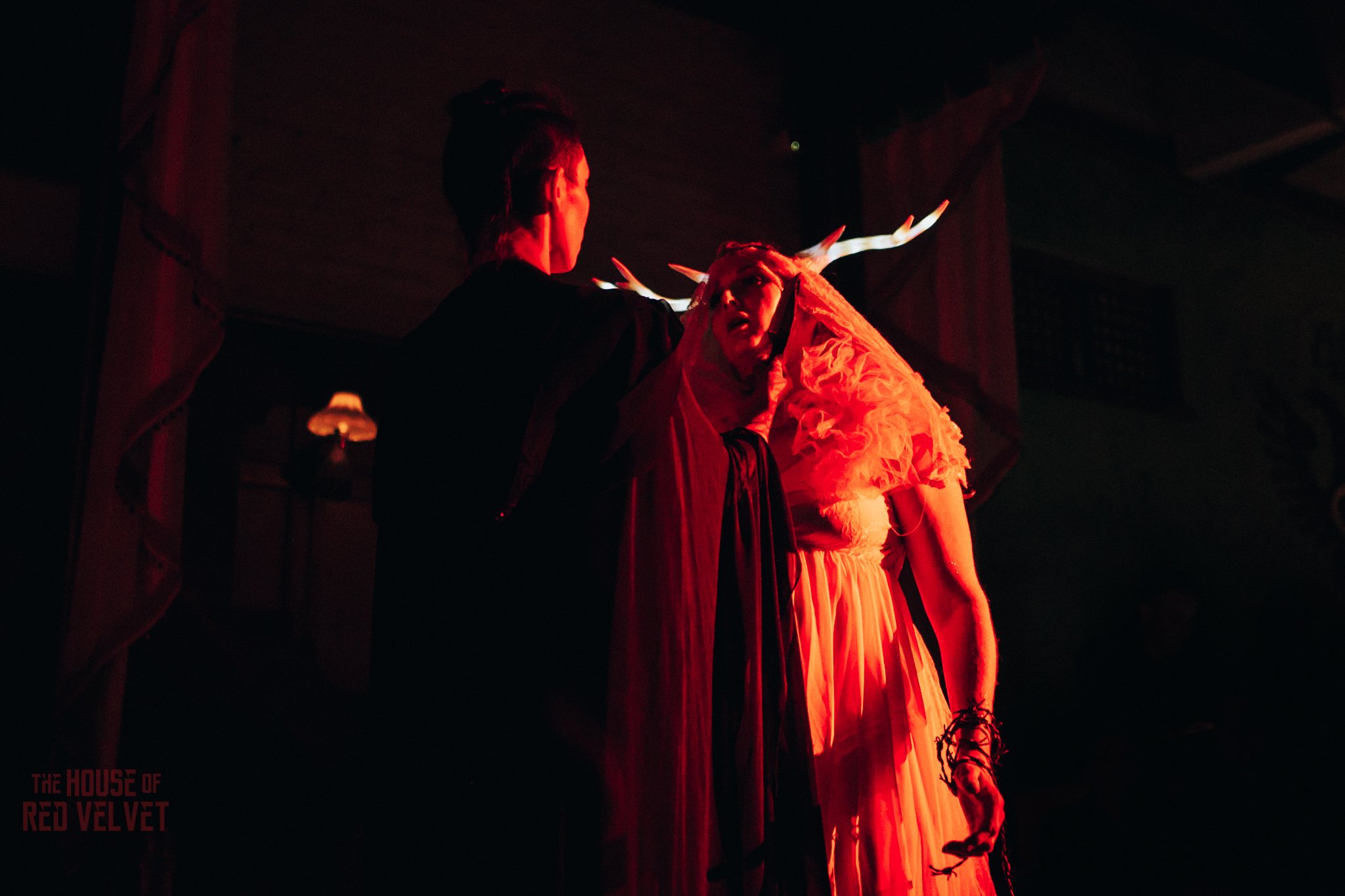 house-of-red-velvet-performance-art-theater-surrealism-salonA9615.jpg