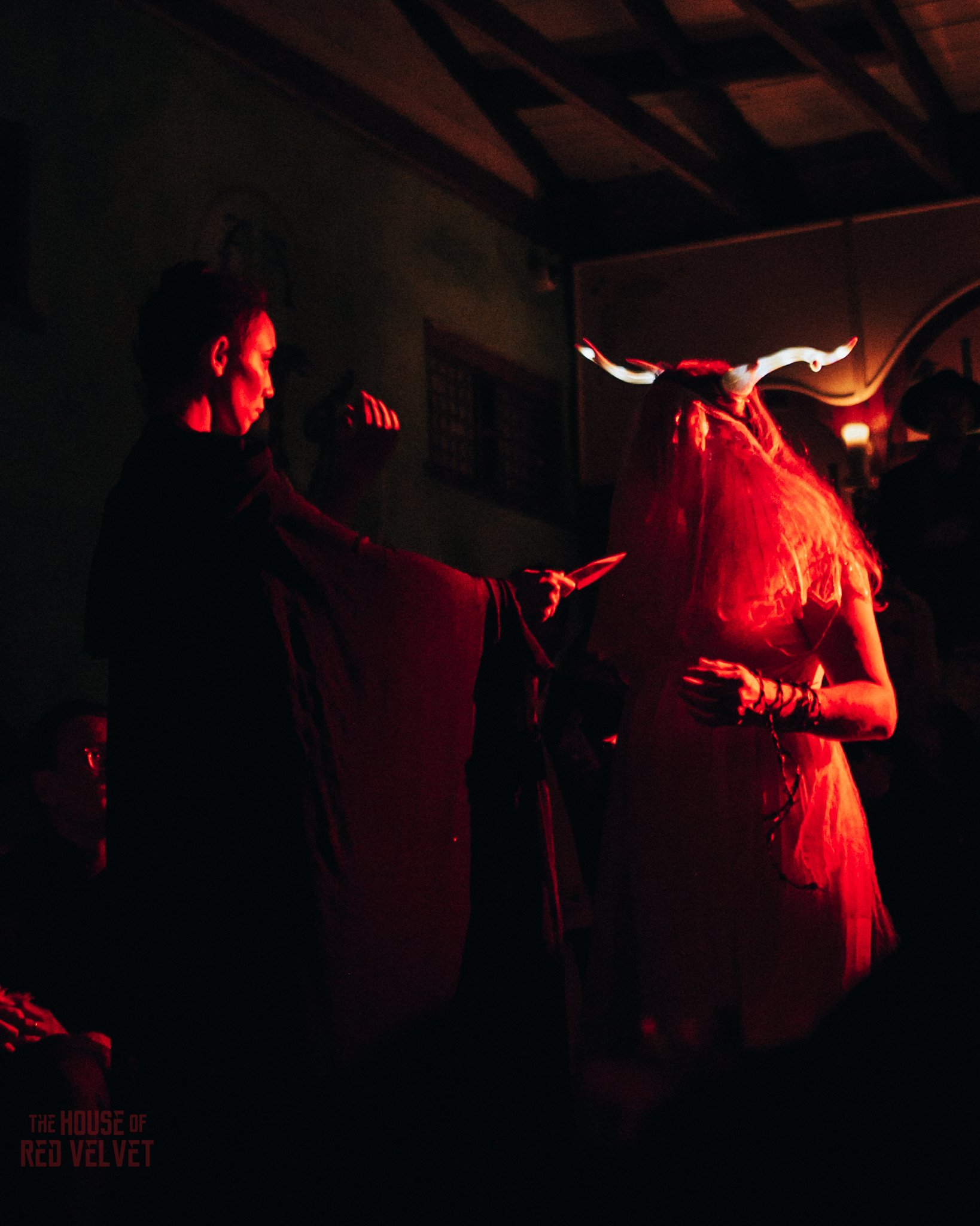 house-of-red-velvet-performance-art-theater-surrealism-salonA9598.jpg