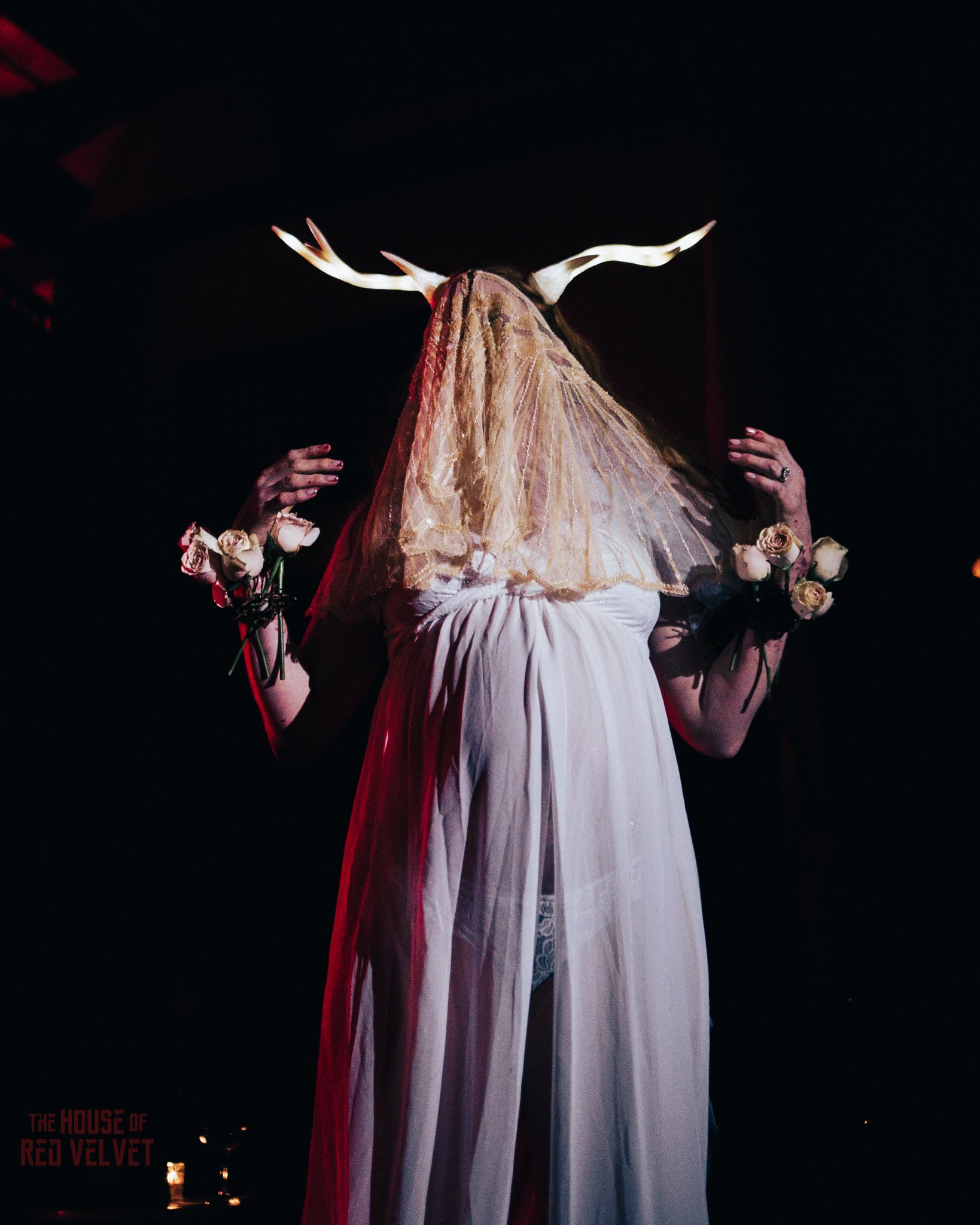 house-of-red-velvet-performance-art-theater-surrealism-salonA9579.jpg