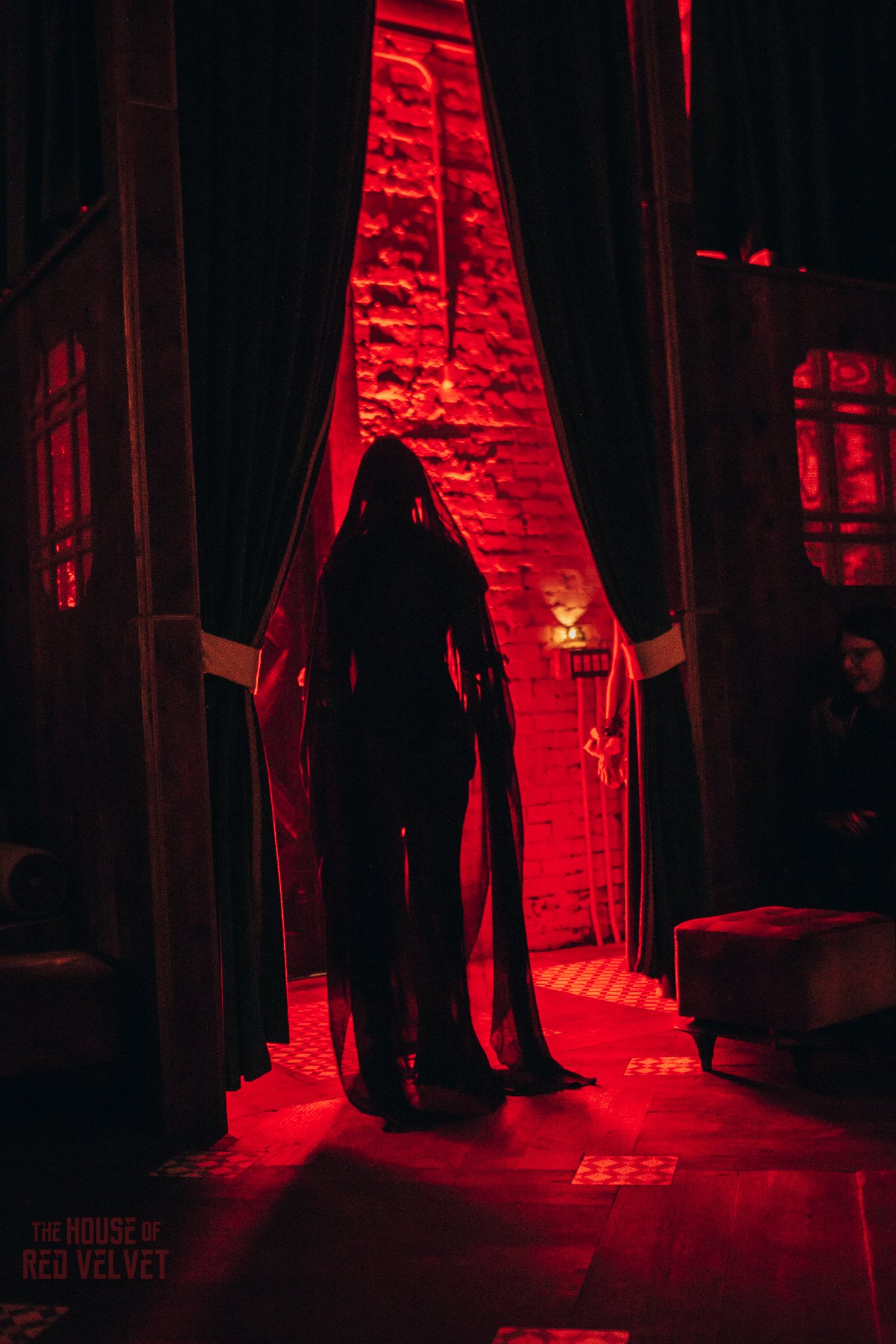 house-of-red-velvet-performance-art-theater-surrealism-salonA9553.jpg