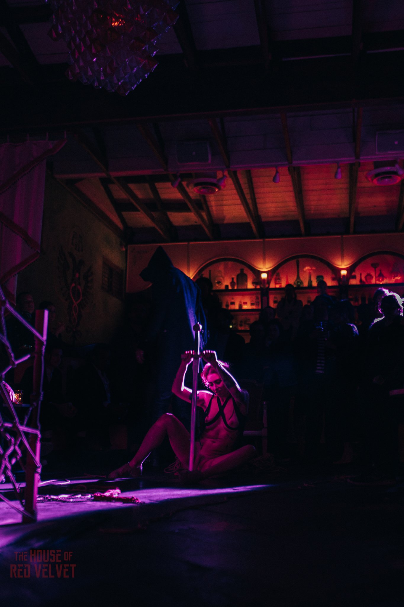 house-of-red-velvet-performance-art-theater-surrealism-salonA9494.jpg