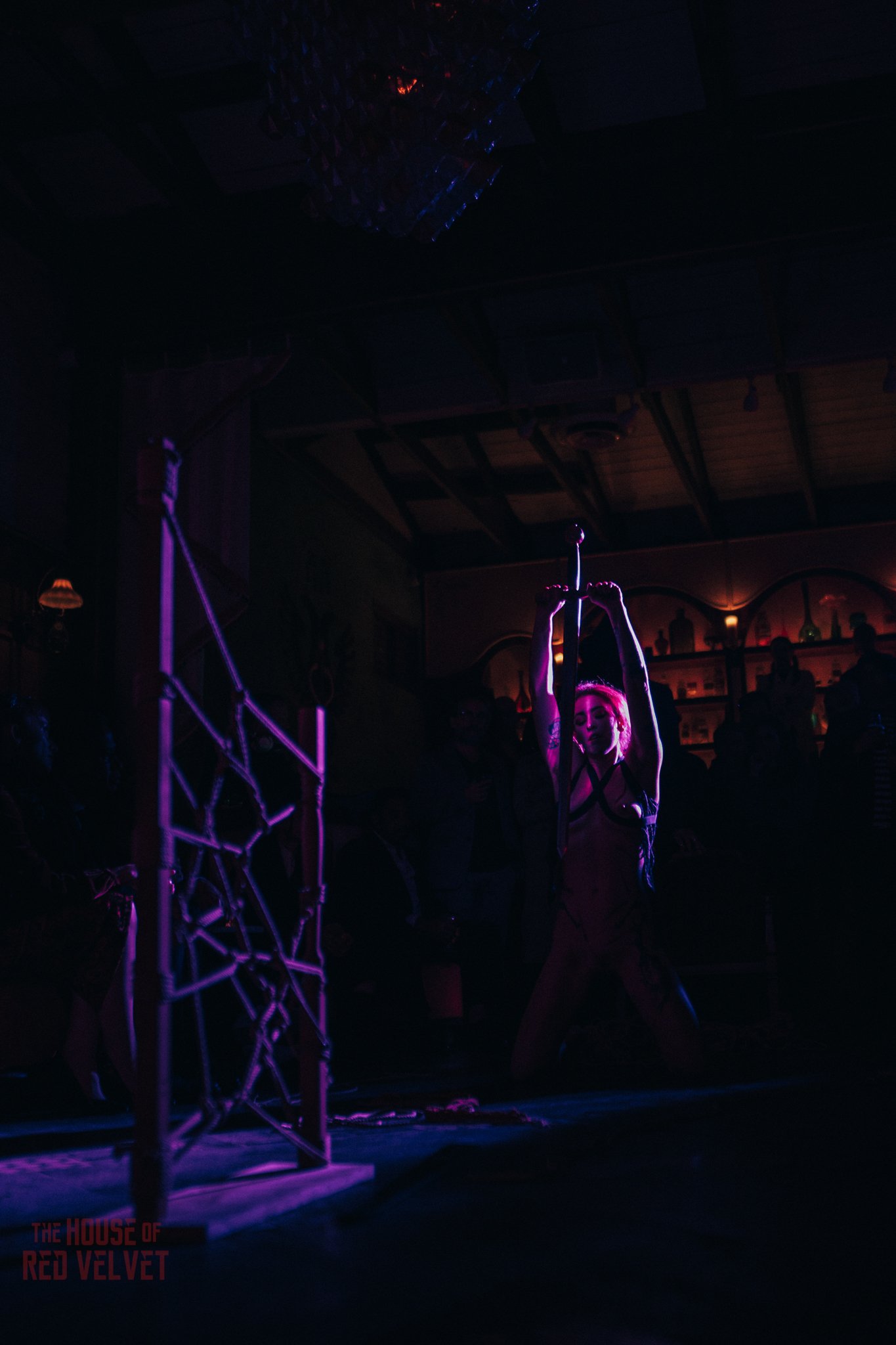house-of-red-velvet-performance-art-theater-surrealism-salonA9502.jpg