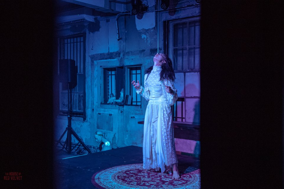 house-of-red-velvet-performance-dark-art-surreal-8121.jpg