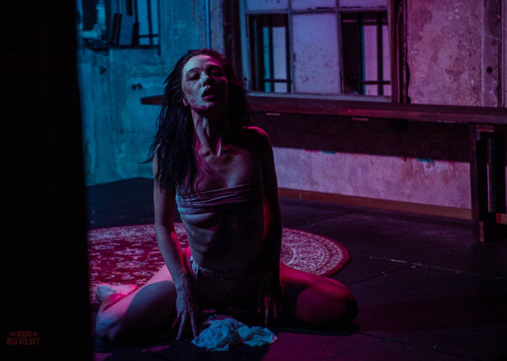 house-of-red-velvet-performance-dark-art-surreal-8141.jpg