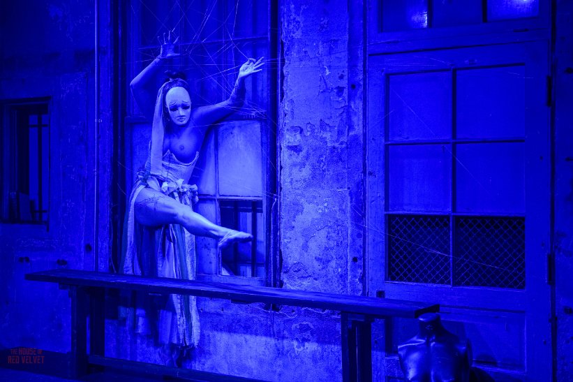 house-of-red-velvet-performance-dark-art-surreal-8176.jpg