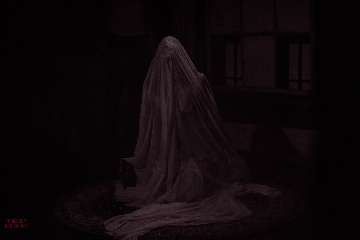 house-of-red-velvet-performance-dark-art-surreal-8305.jpg