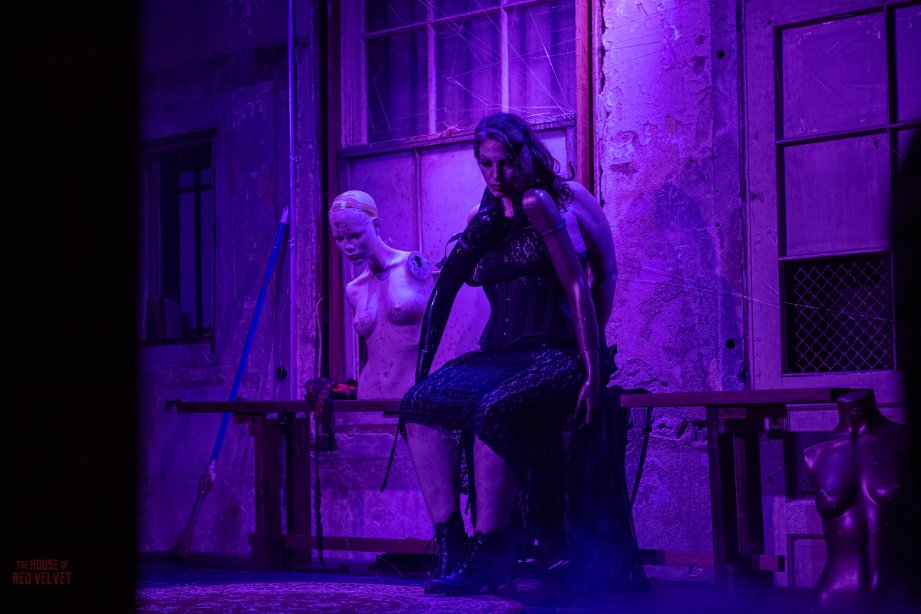 house-of-red-velvet-performance-dark-art-surreal-8222.jpg