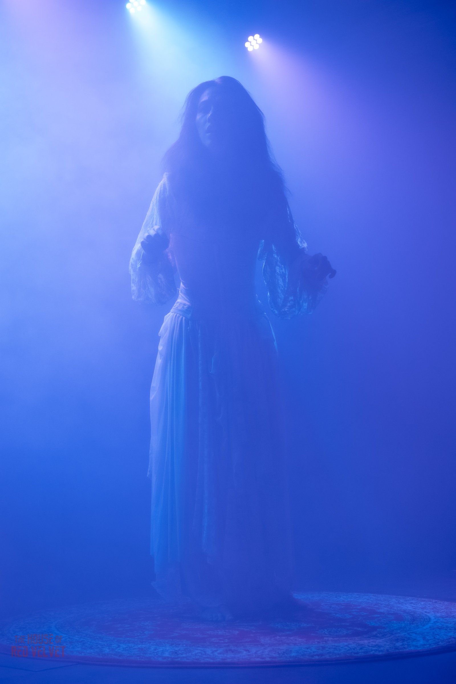 house-of-red-velvet-performance-dark-art-surreal-1876.jpg