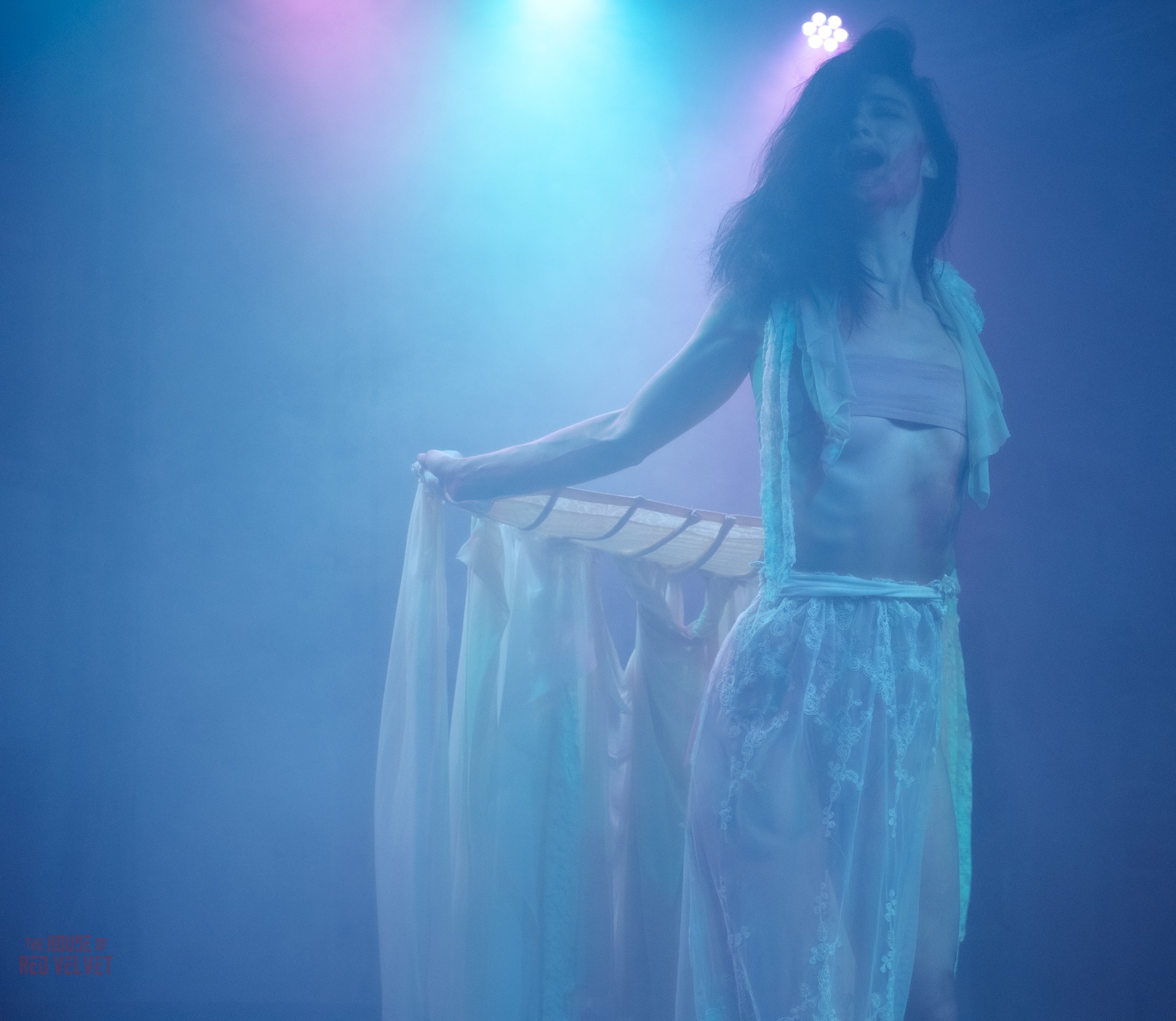 house-of-red-velvet-performance-dark-art-surreal-1892.jpg