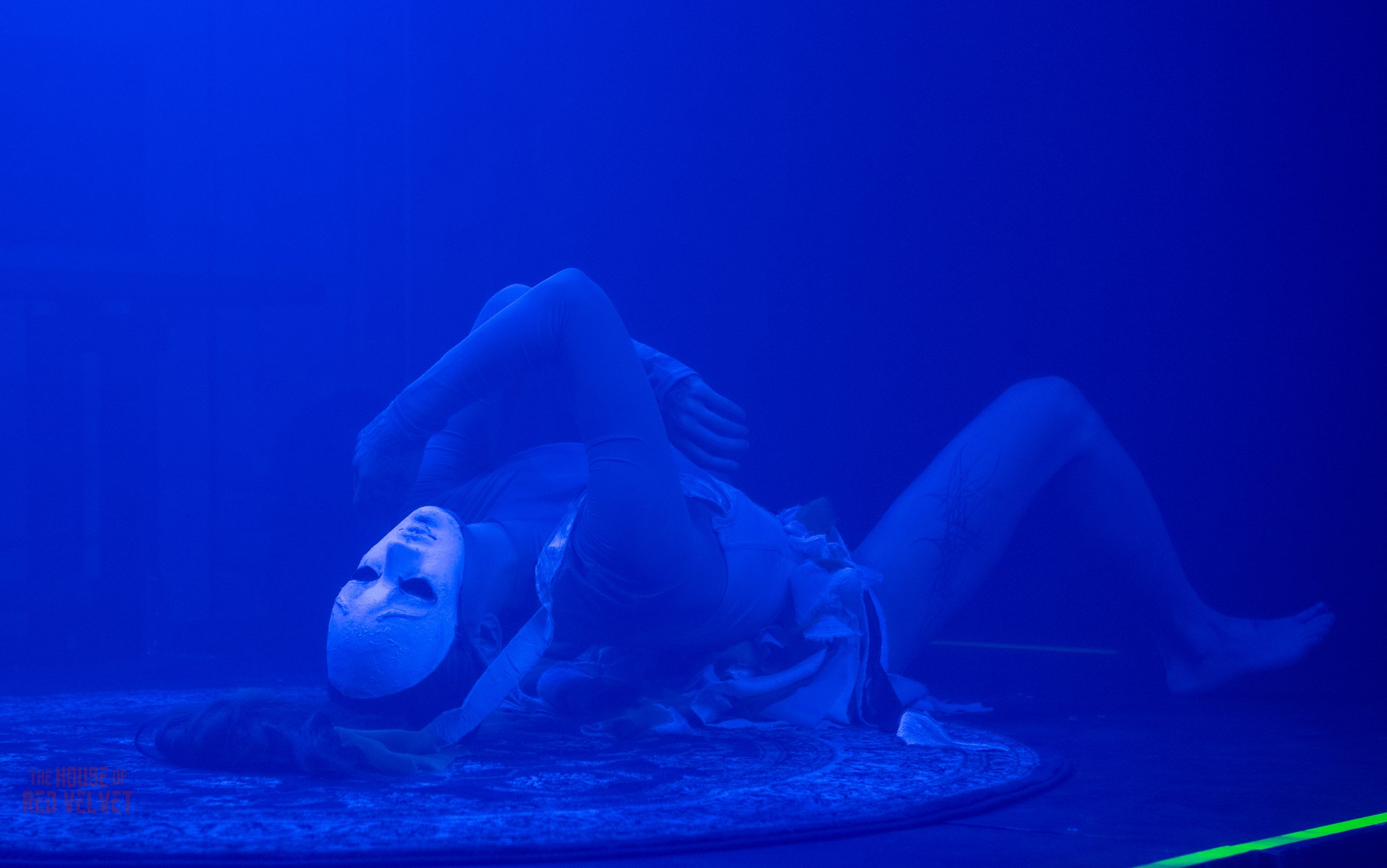 house-of-red-velvet-performance-dark-art-surreal-1907.jpg