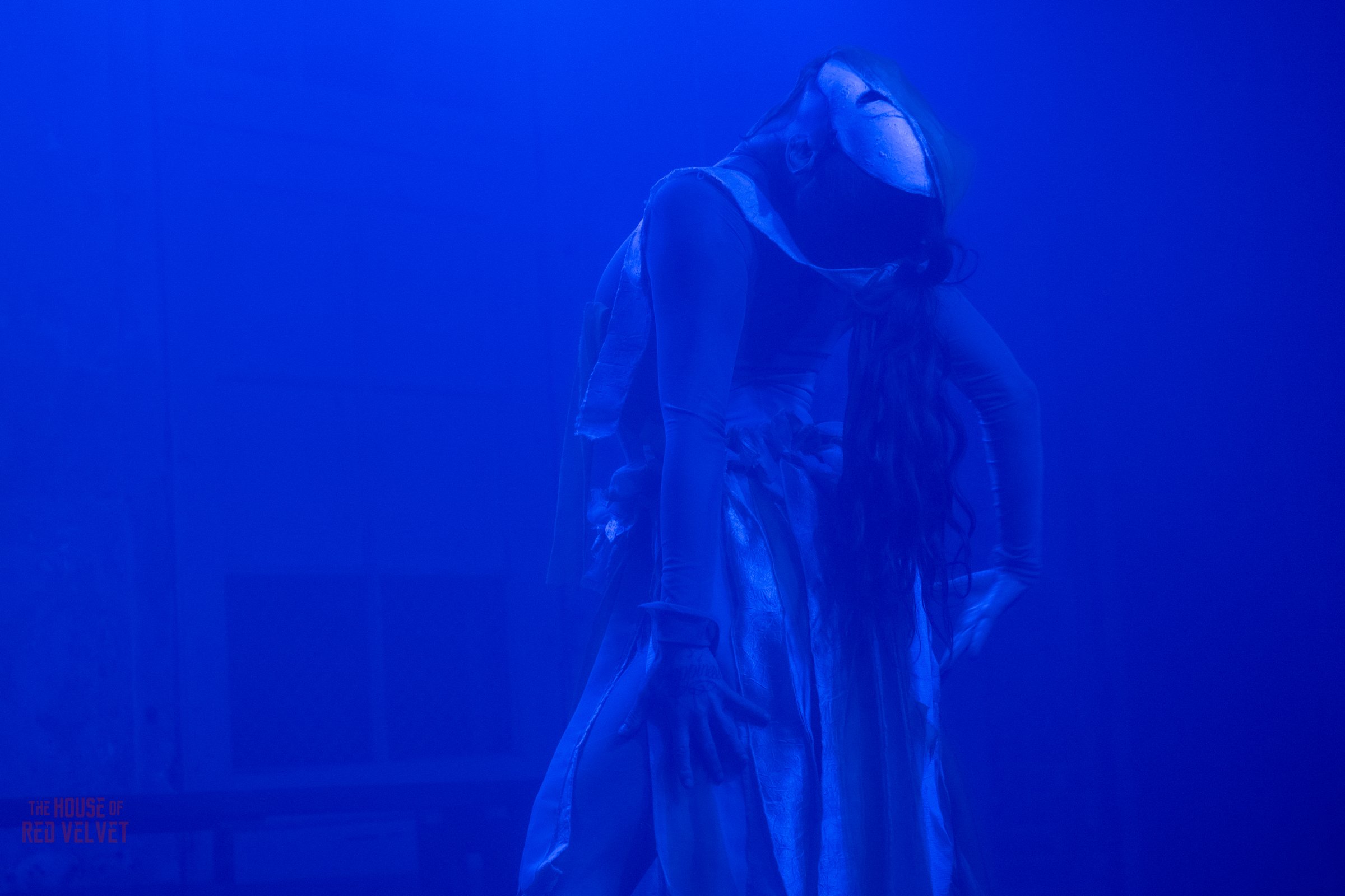 house-of-red-velvet-performance-dark-art-surreal-1912.jpg
