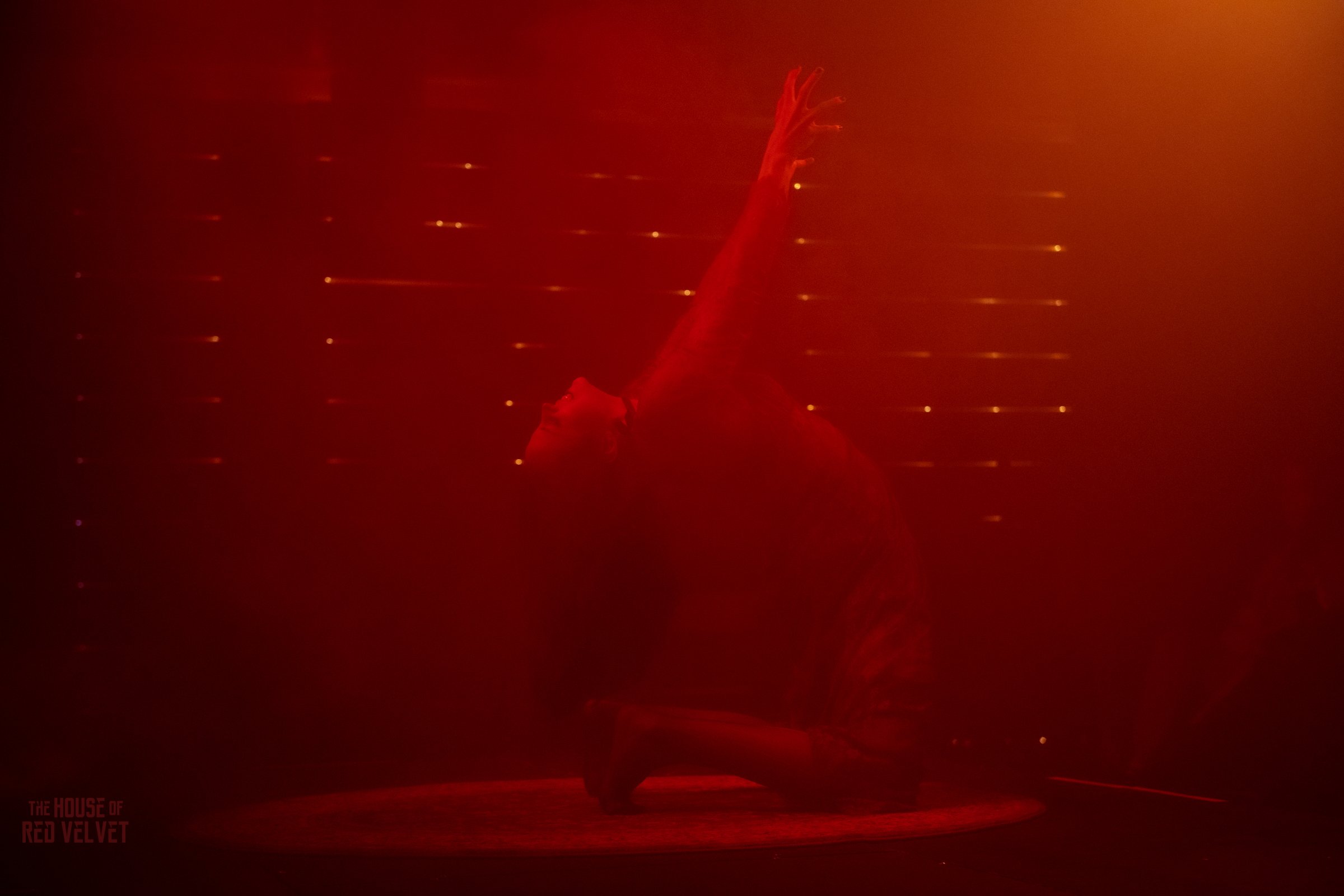 house-of-red-velvet-performance-dark-art-surreal-1856.jpg