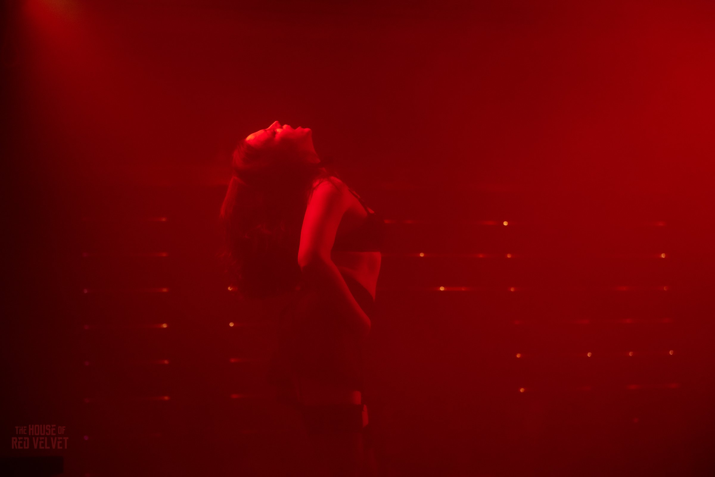house-of-red-velvet-performance-dark-art-surreal-1862.jpg