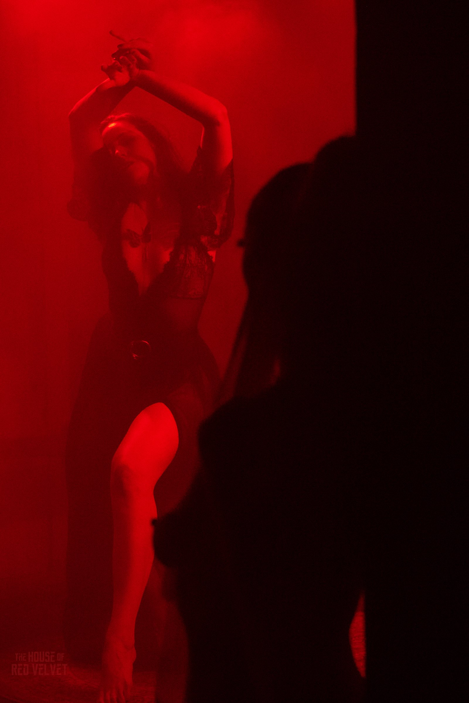 house-of-red-velvet-performance-dark-art-surreal-2010.jpg
