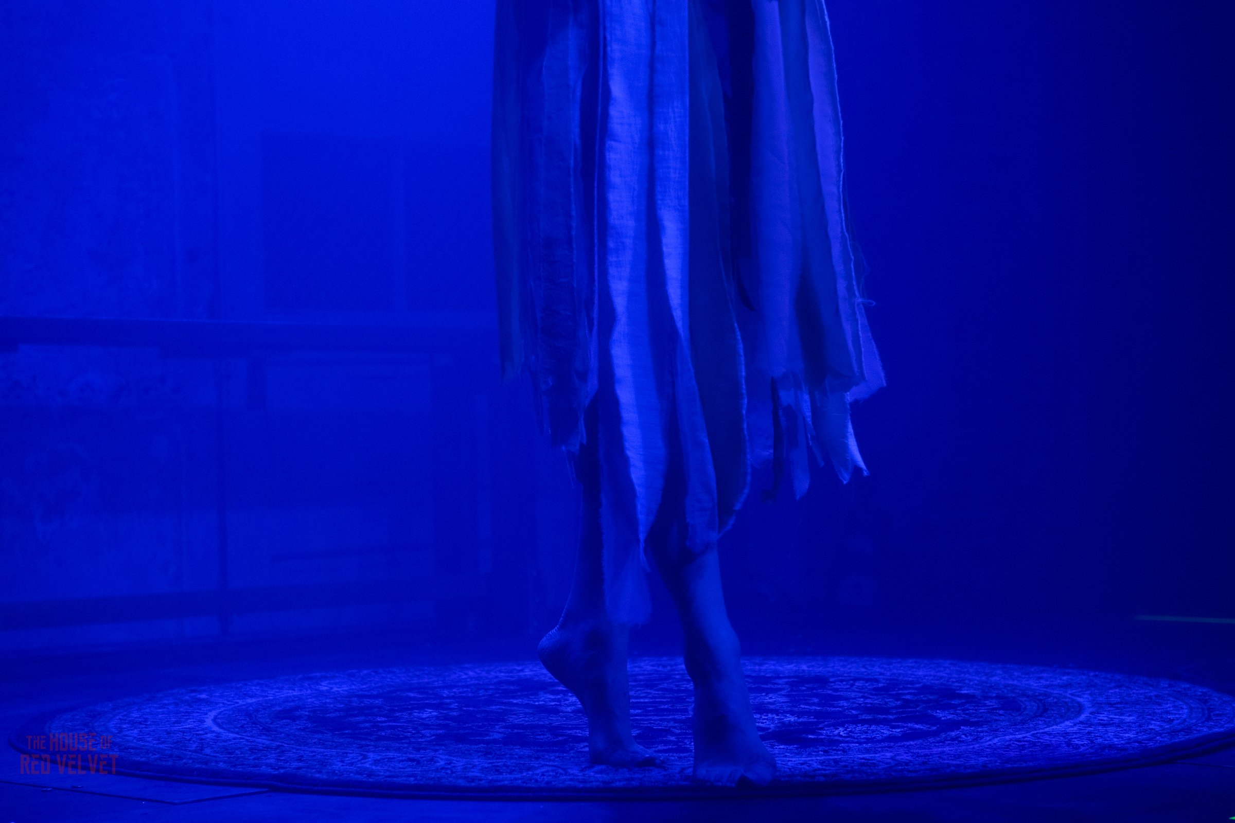 house-of-red-velvet-performance-dark-art-surreal-1921.jpg