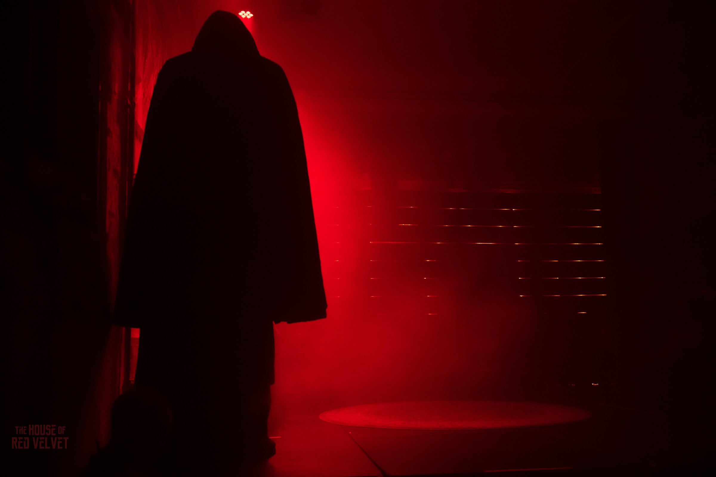 house-of-red-velvet-performance-dark-art-surreal-1835.jpg