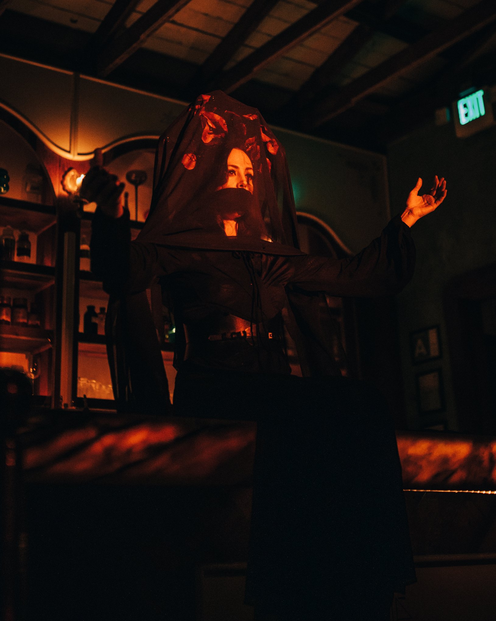 house-of-red-velvet-performance-dark-artists-surreal-los-angelesA2705.jpg