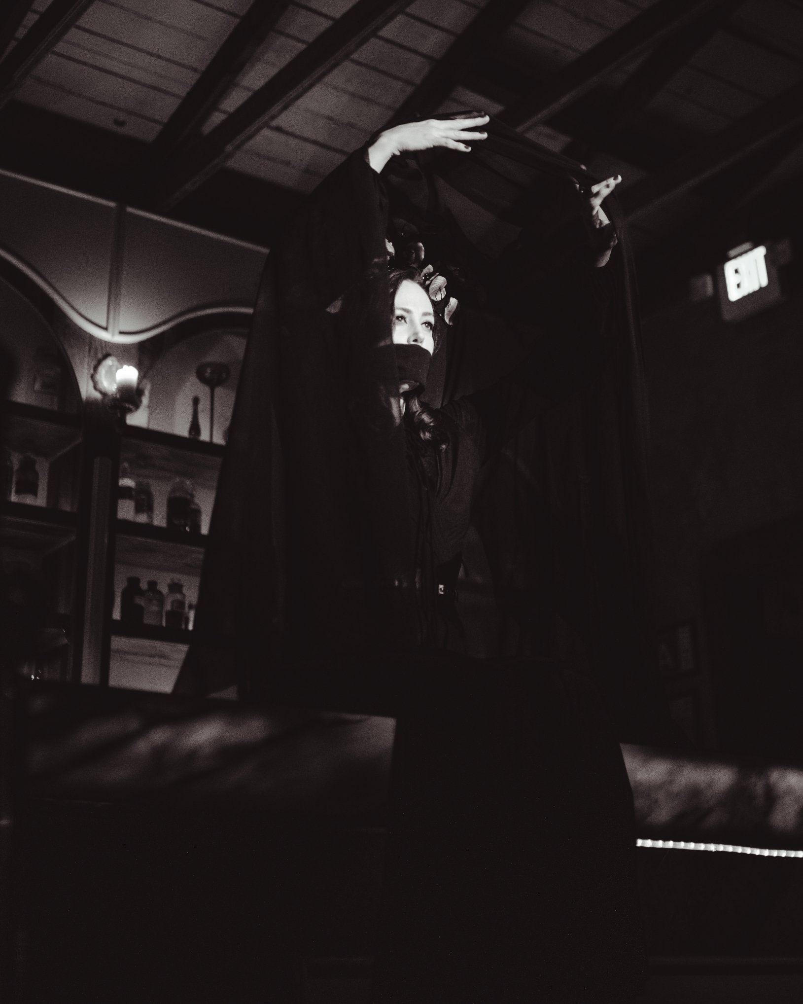 house-of-red-velvet-performance-dark-artists-surreal-los-angelesA2709.jpg